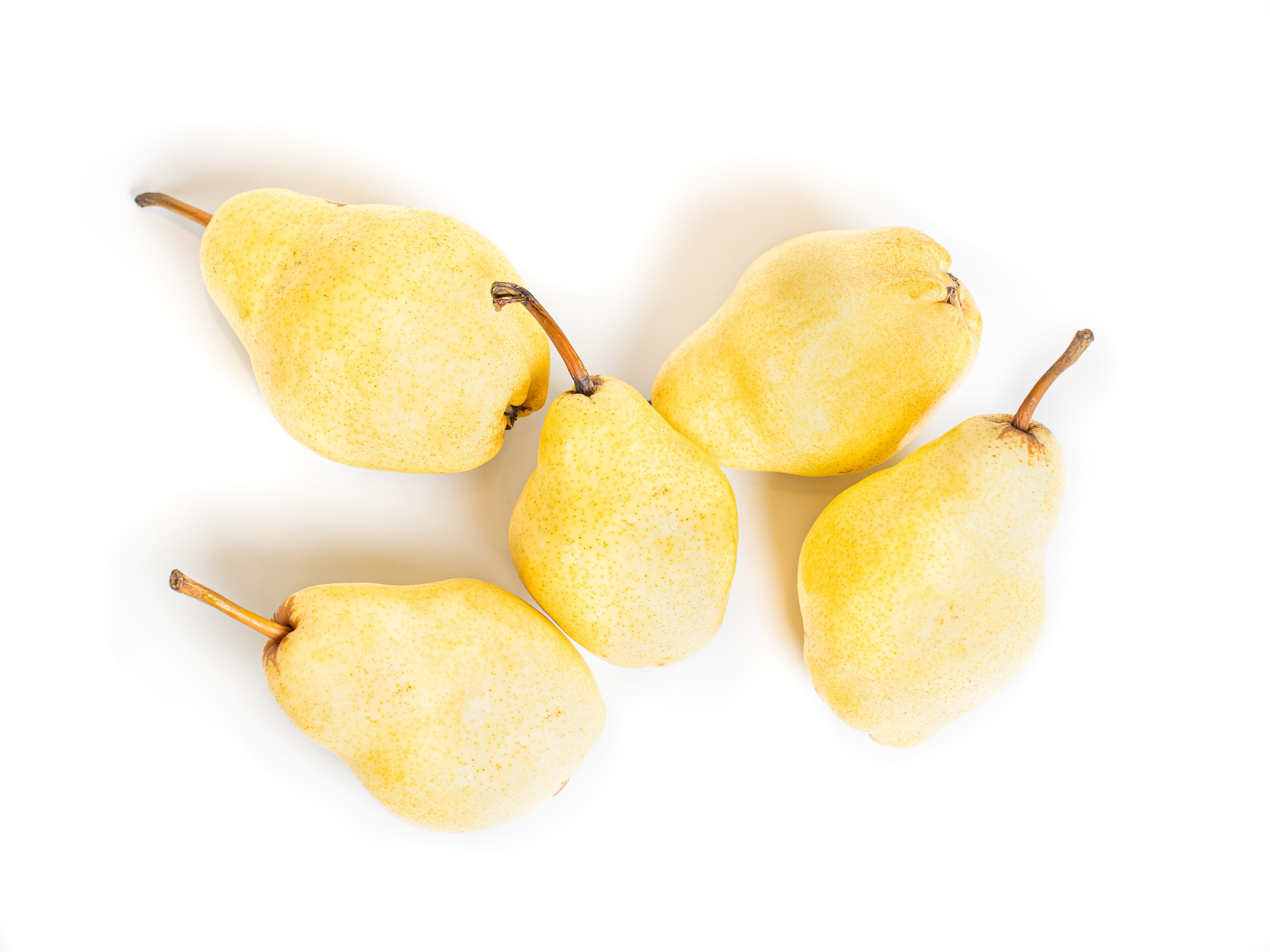 Яндекс Маркет. Предметный и фуд-фотограф в Москве Анна Царенко