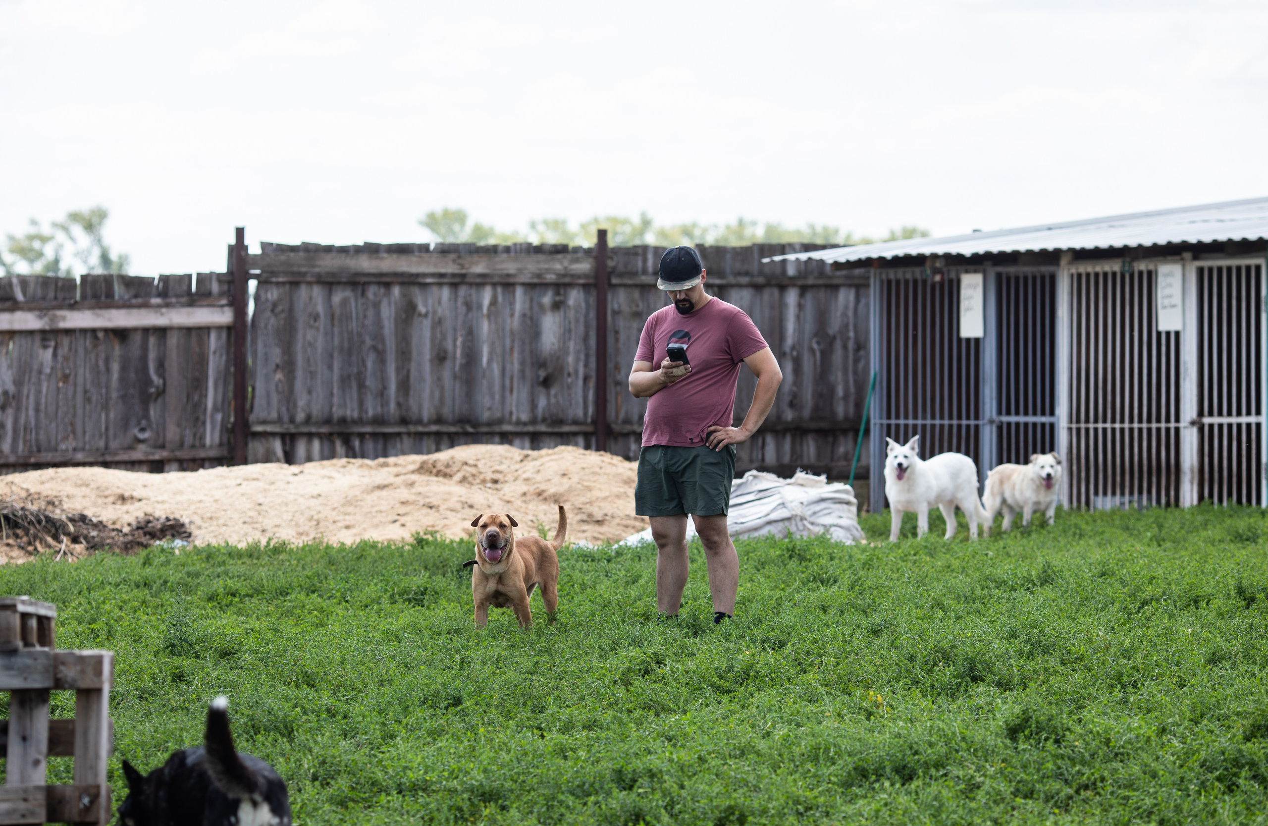 Приют — Наш дом. Репортажный и свадебный фотограф в Челябинске Елисеев Павел