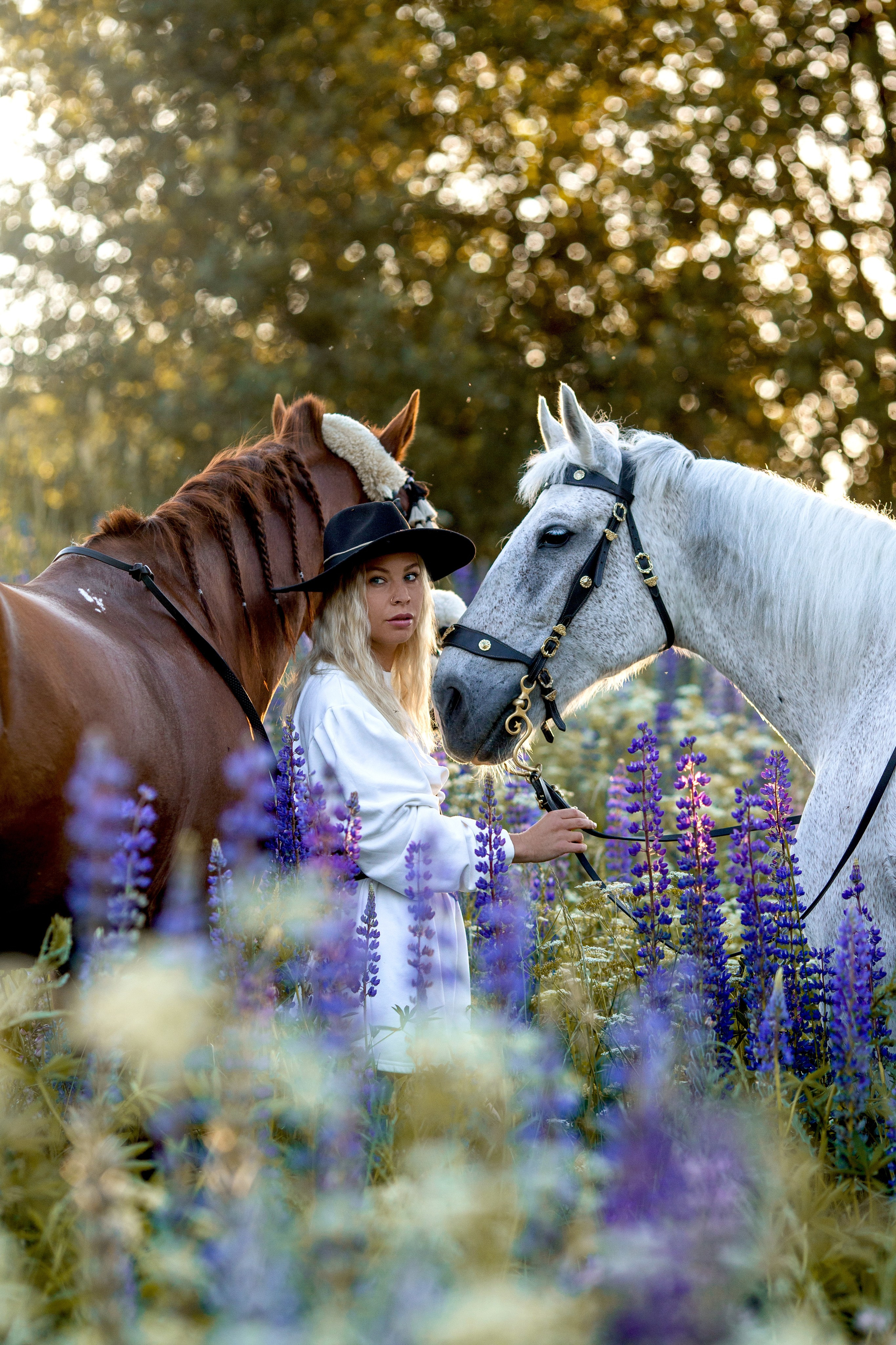 Фотосессия с лошадью в люпинах