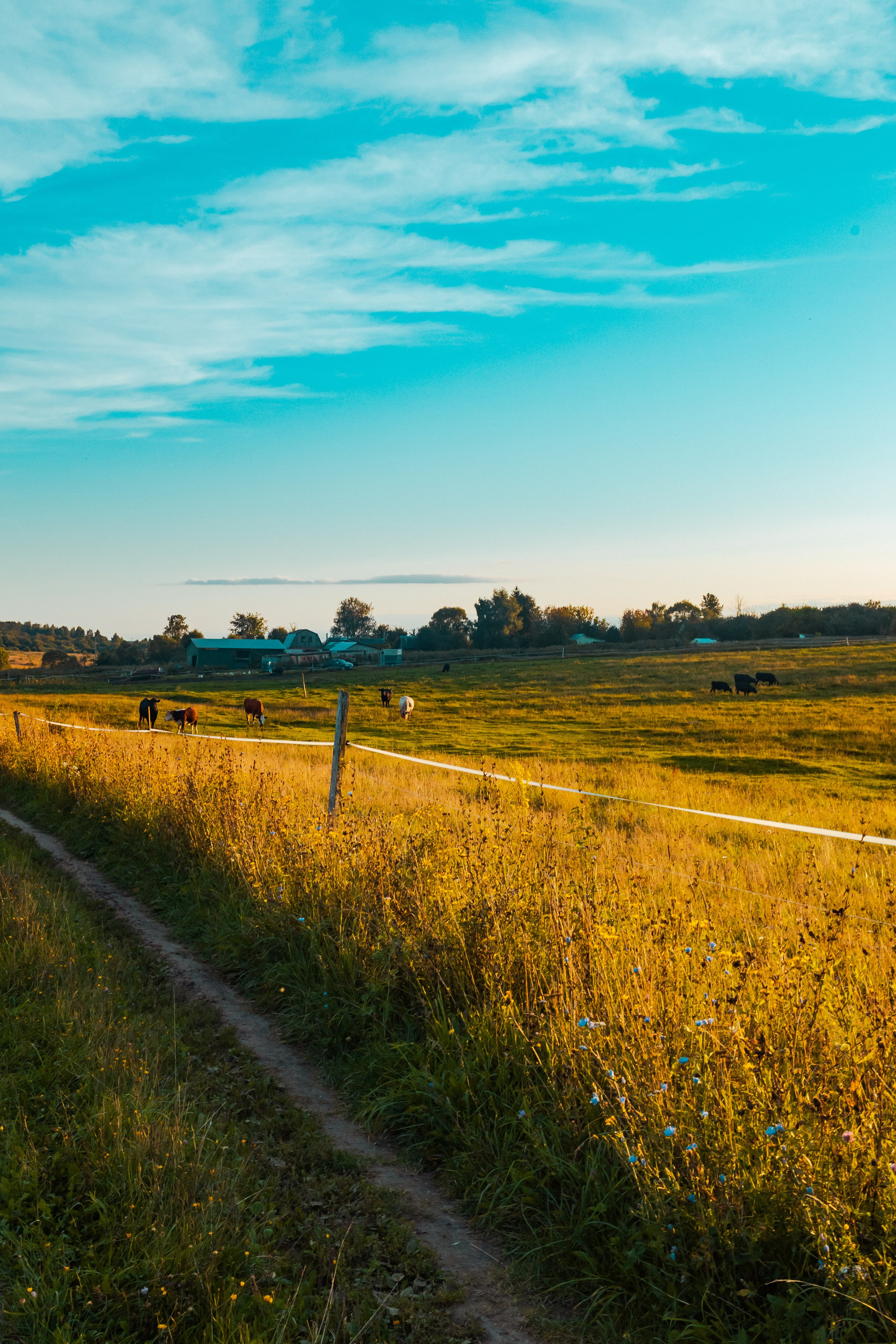 Деревня Мишнево | Калужская область. Папка кадров 📁