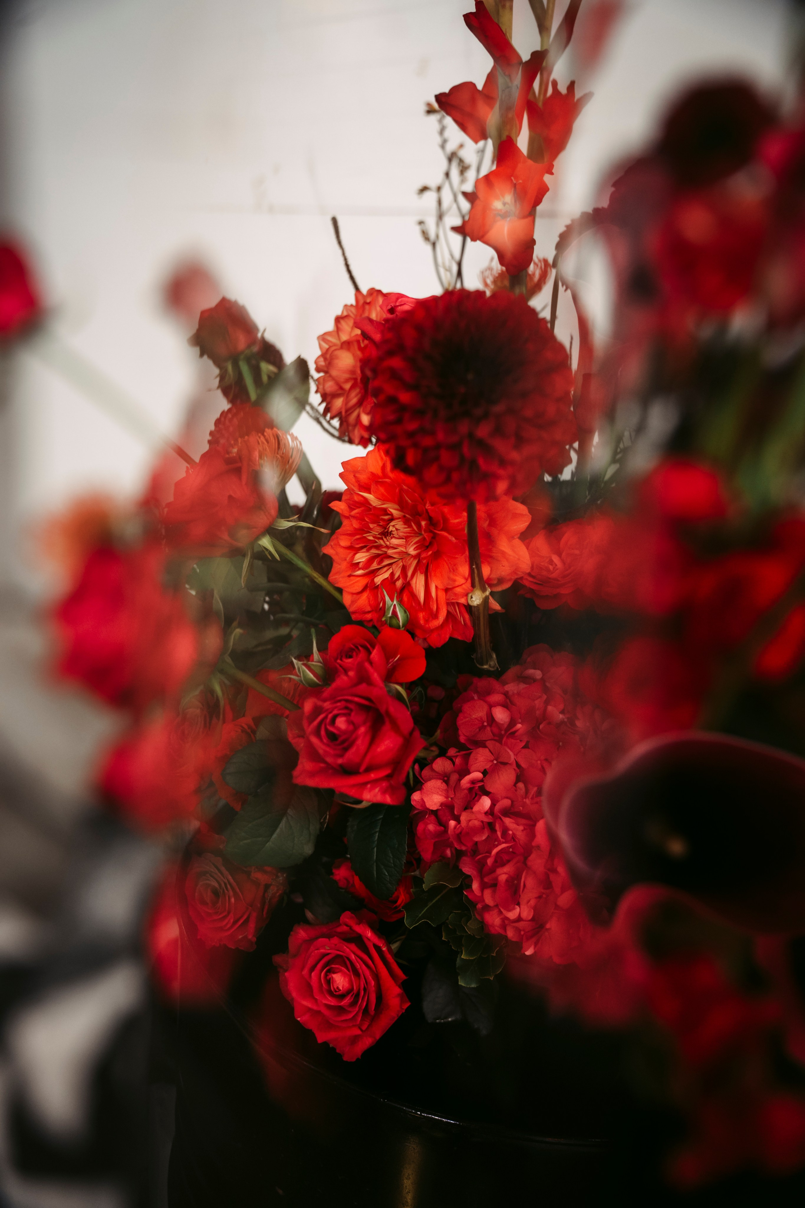 Цветочный андеграунд. Главная