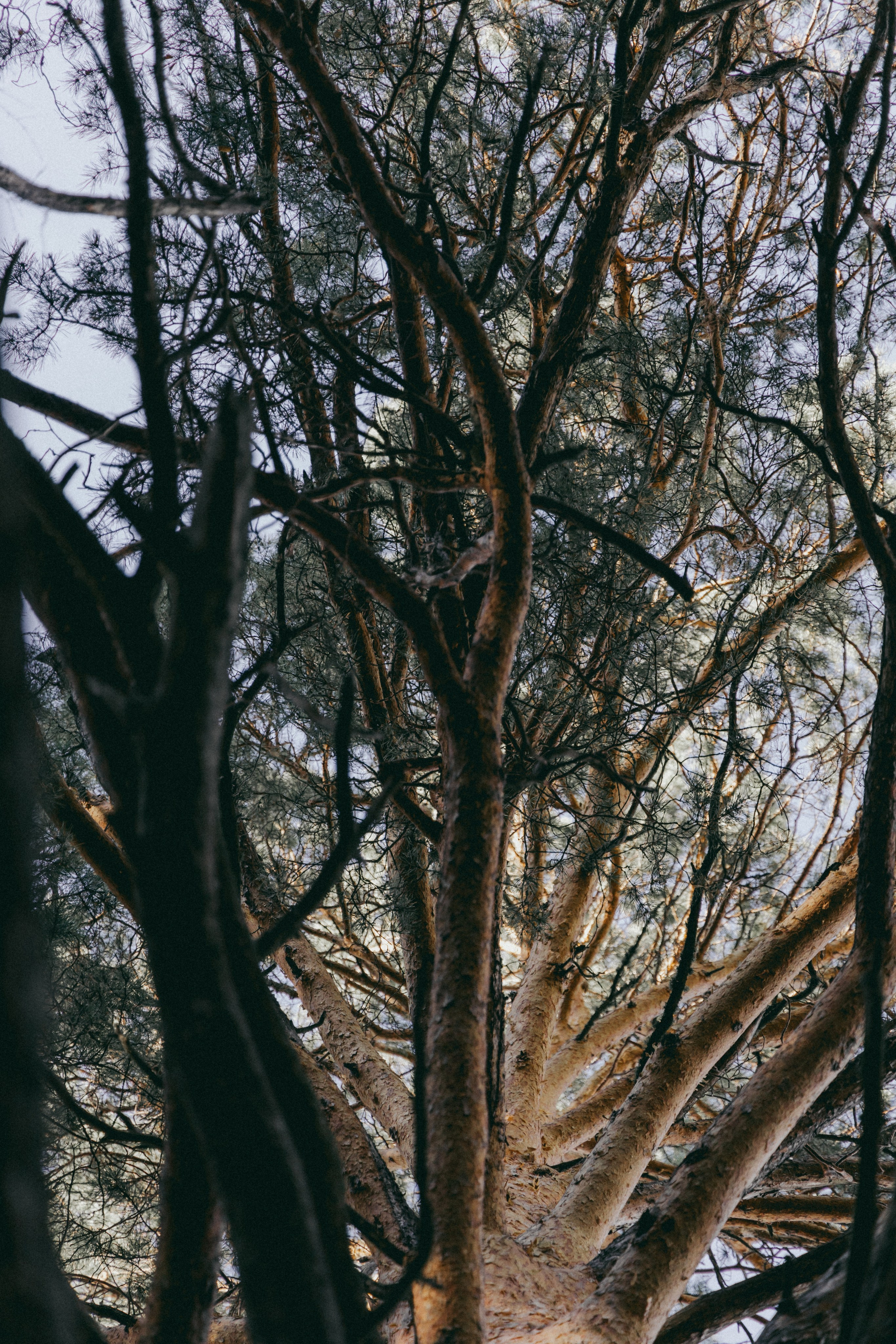 Creative portrait. Свадебный и семейный фотограф в Красноярске Леонид Максимов