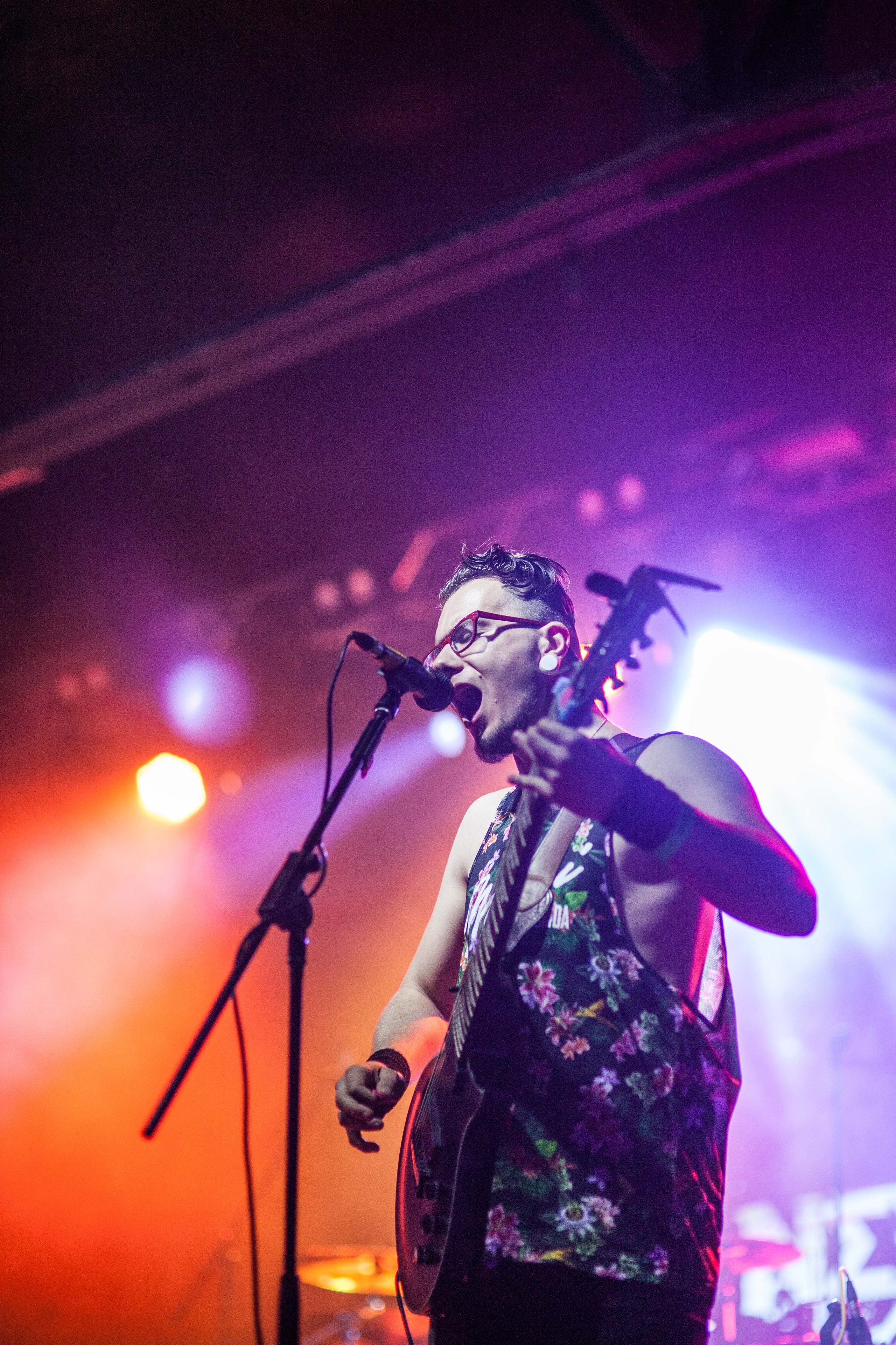 NextDoorHaven. Твой фотограф — Полосатый кот