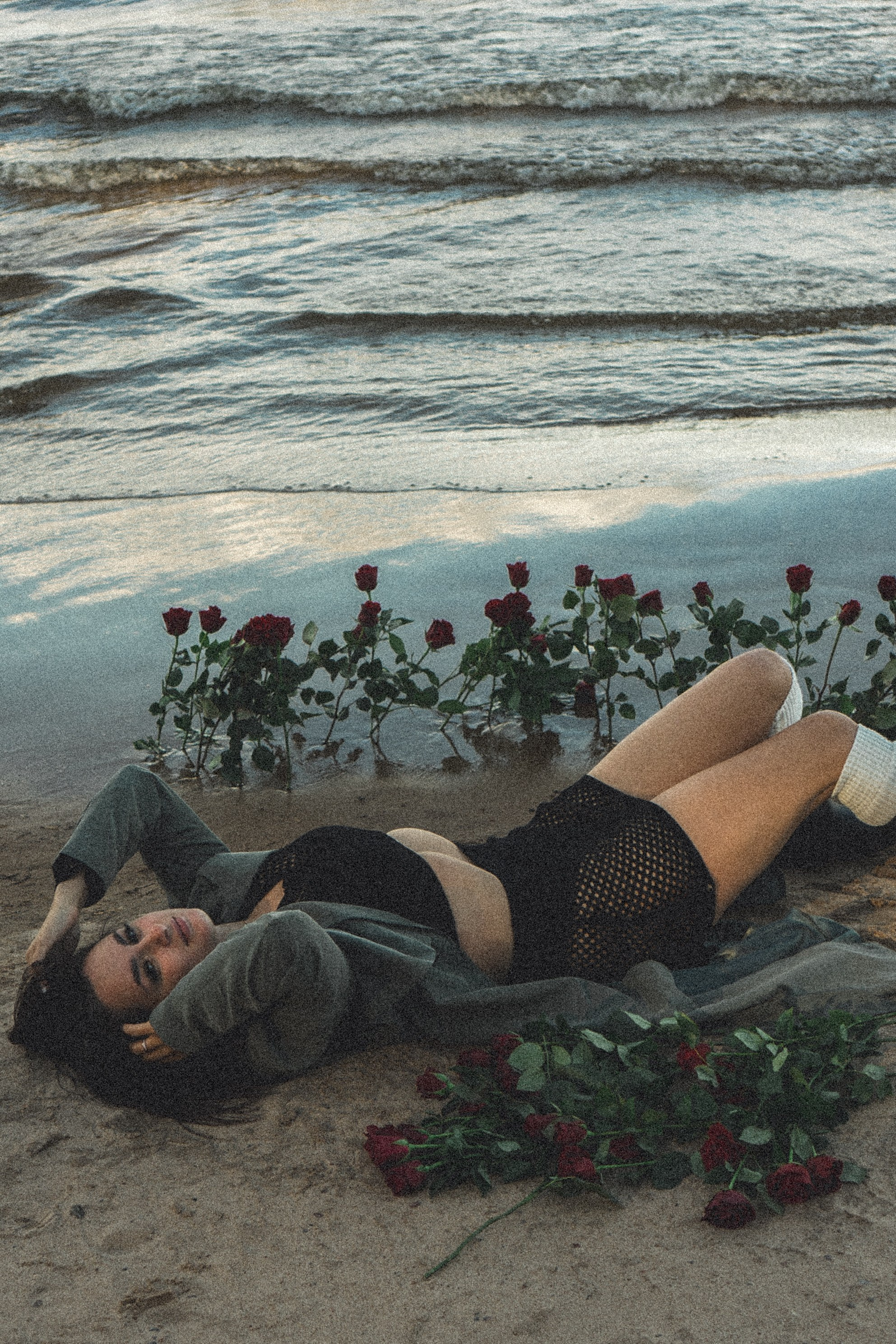 Розы. Профессиональный фотограф, Санкт-Петербург — Виктория Богомолова