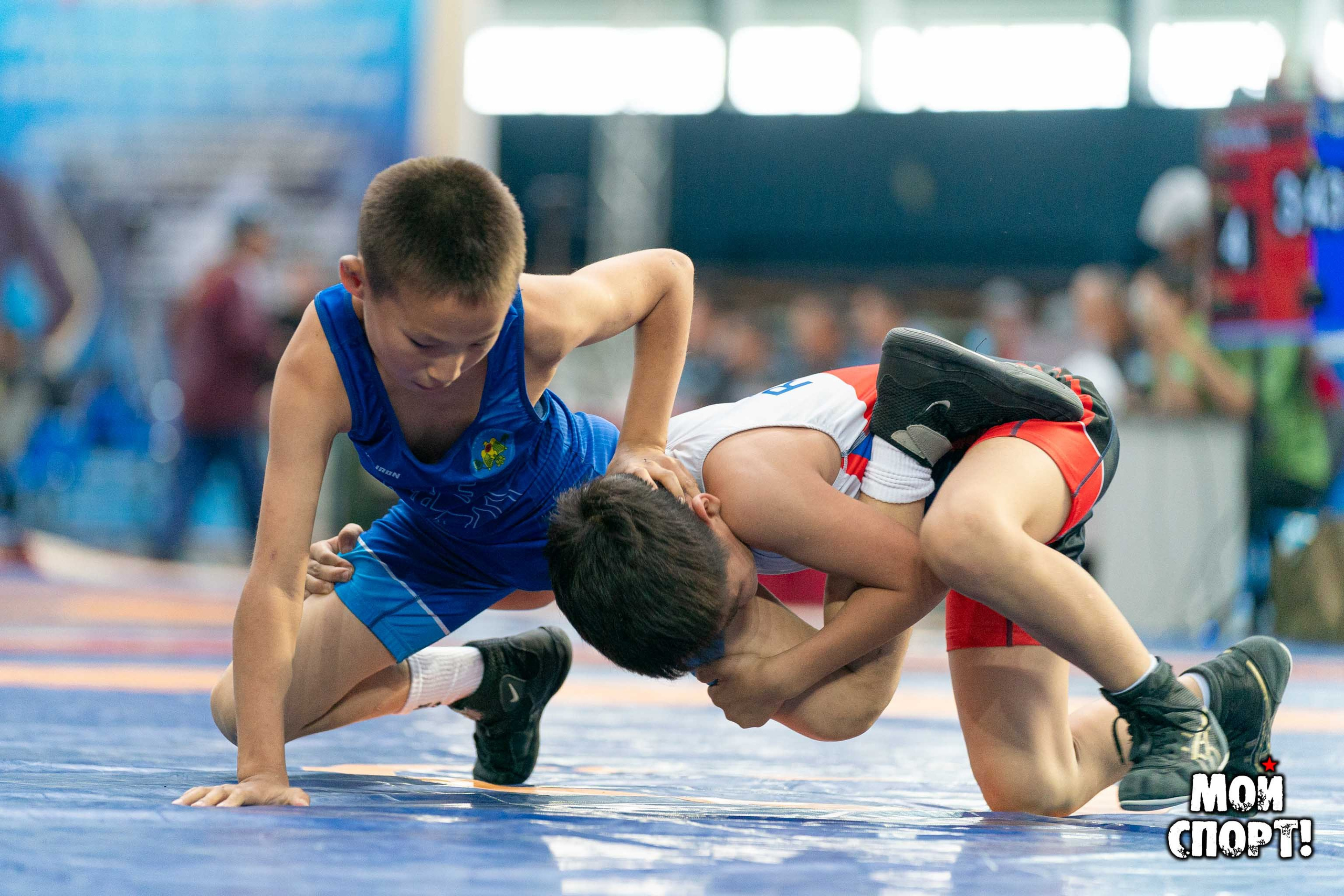 Международный, всероссийский и республиканский турниры по вольной борьбе среди юношей в честь П. П. Пинигина. Студия «Мой Спорт!» — все о спорте в Якутии