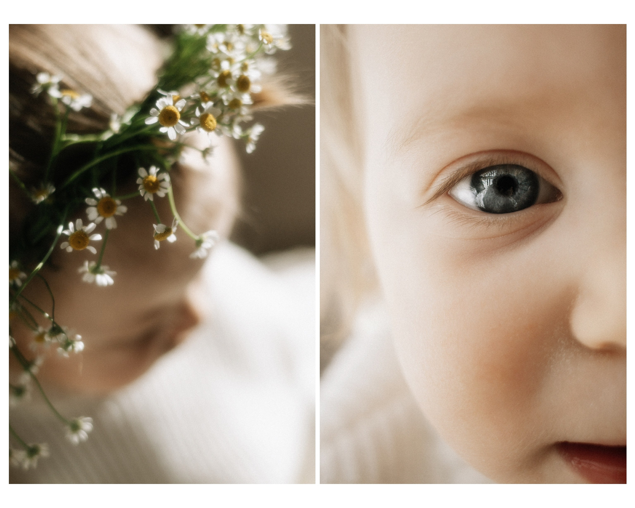 Маленькая София в цветах и лучах декабрьского солнышка. Фотограф в Крыму | Виктория Нотевская