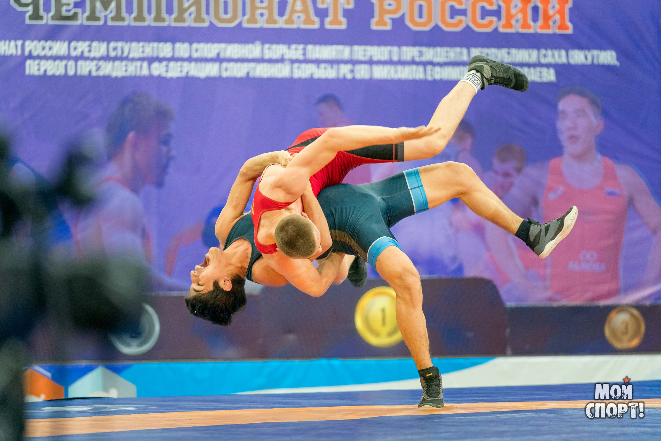 Чемпионат России среди студентов по спортивной борьбе 2024. ГРБ. Студия «Мой Спорт!» — все о спорте в Якутии
