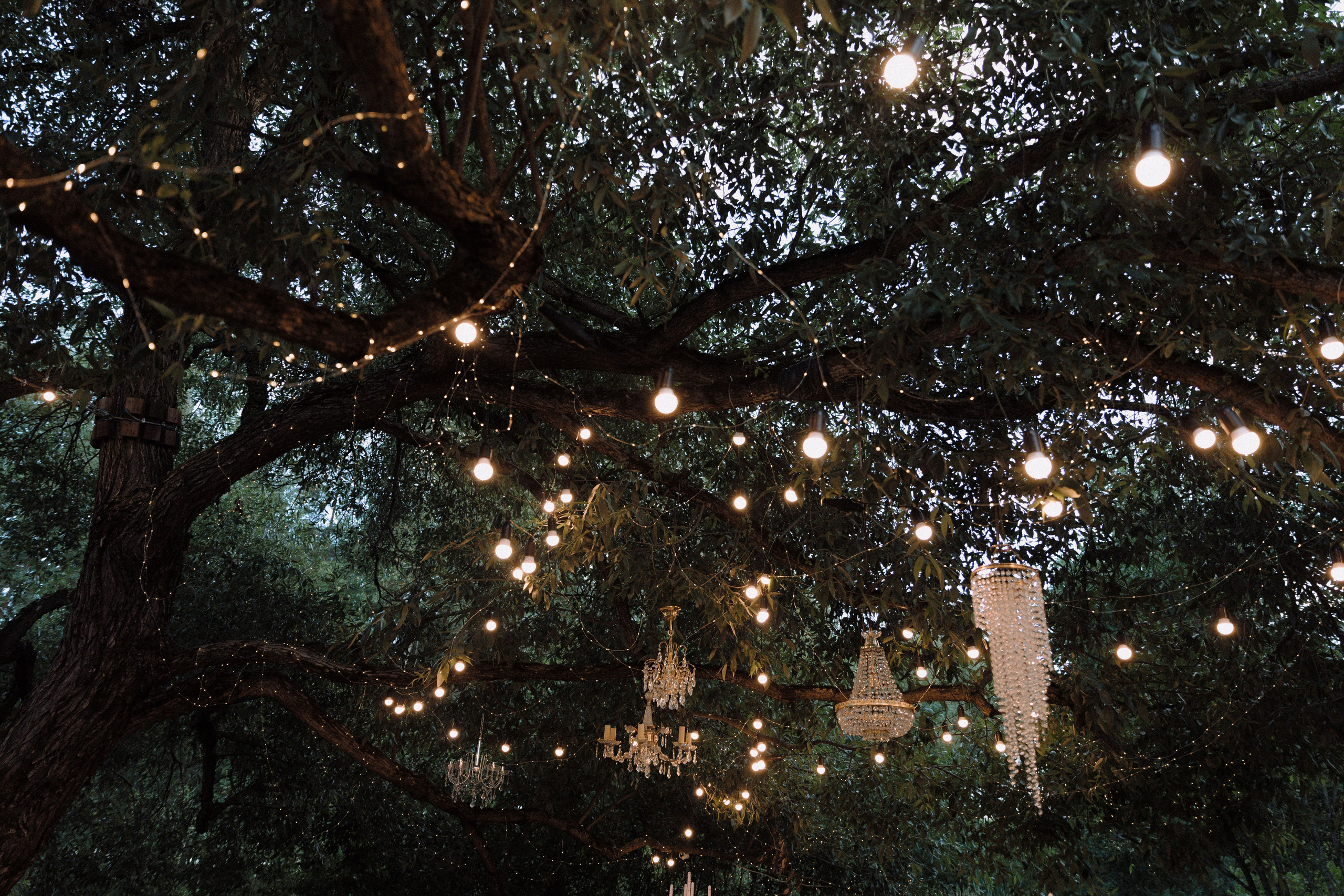 Dmitry & Diana. Главная