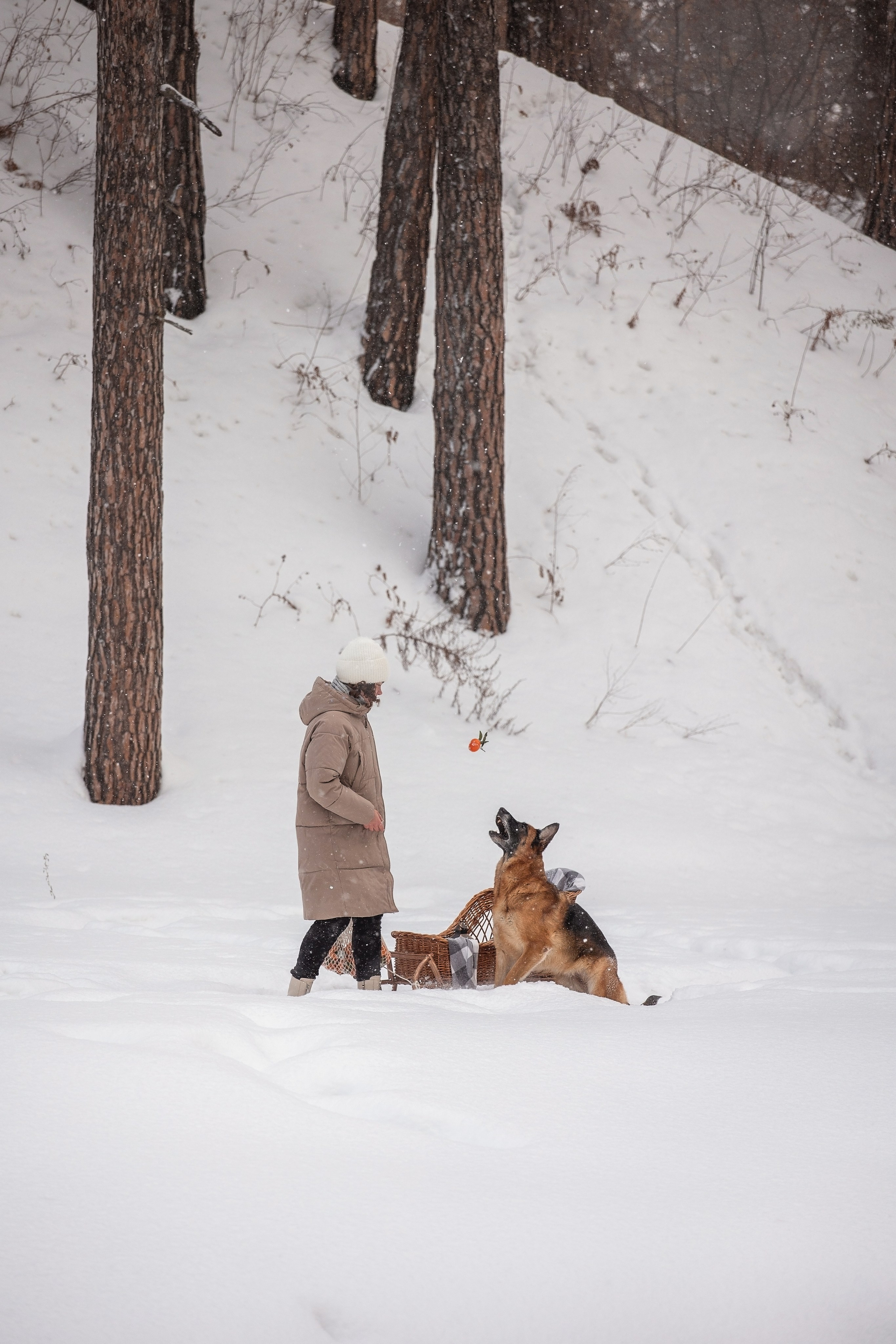 Полина и Фора. YULA KOLESOVA | Фотограф — Анималист | Художник | Тюмень