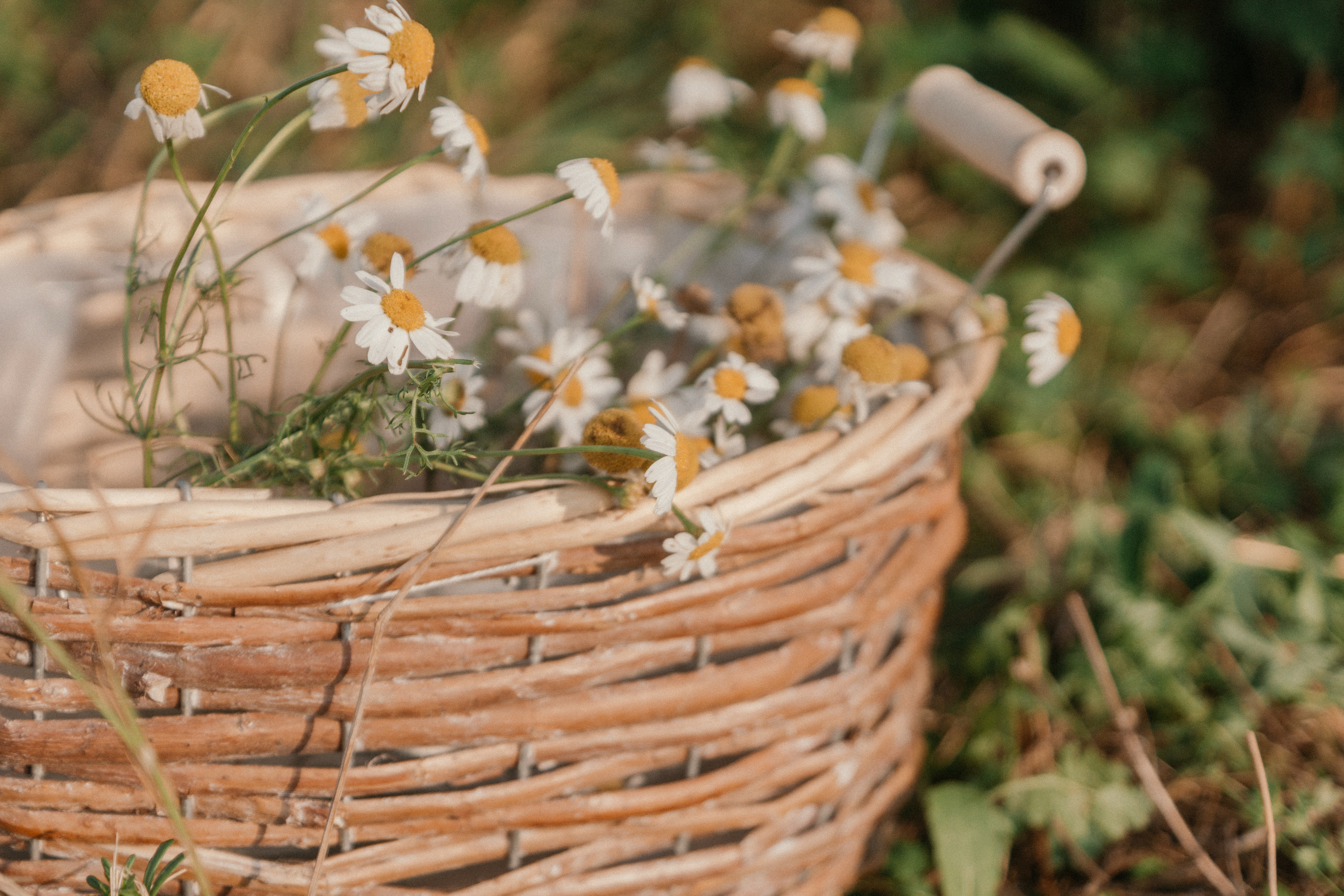 Summer time. Свадебный и семейный фотограф Томск| Юлия Филатова
