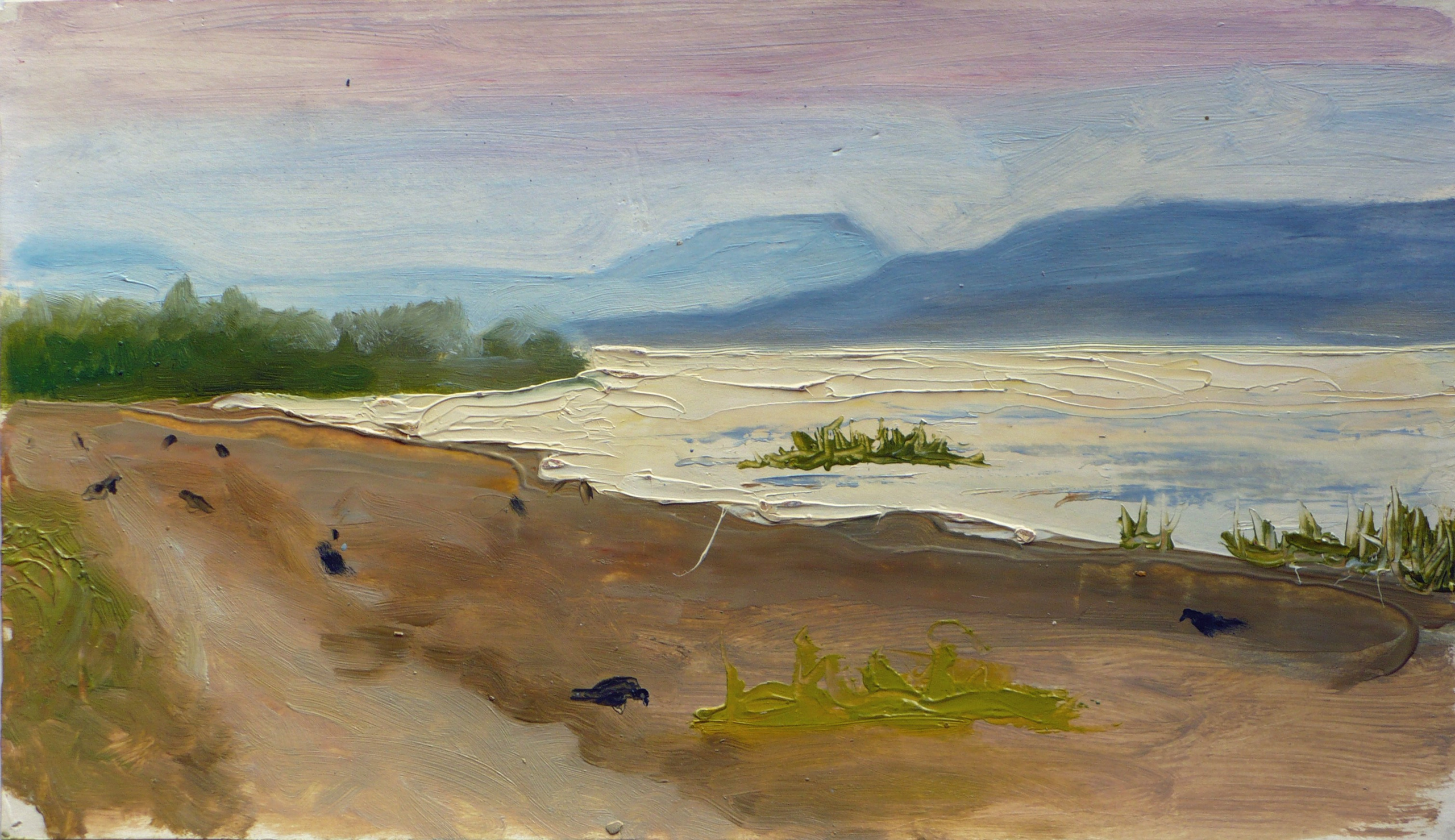 Раннее утро на пляже. Картон, масло. 2007 год