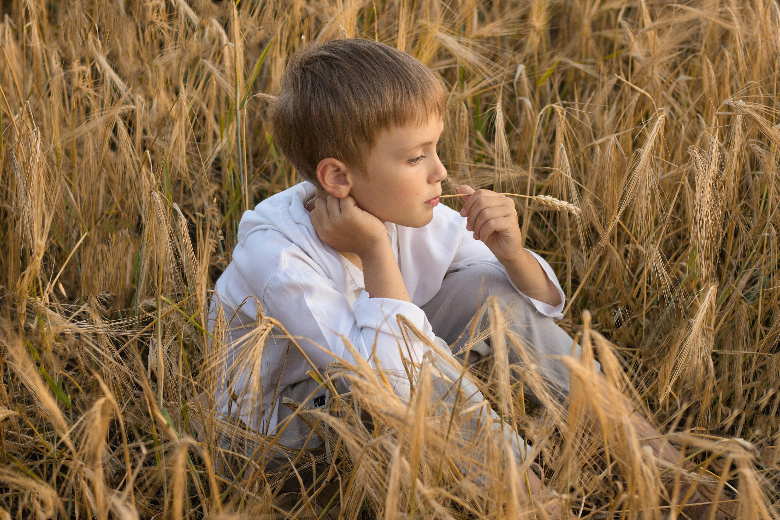 Детская фотосессия в пшеничном поле. Детский и семейный фотограф в Уфе Зинаида Вольштейн