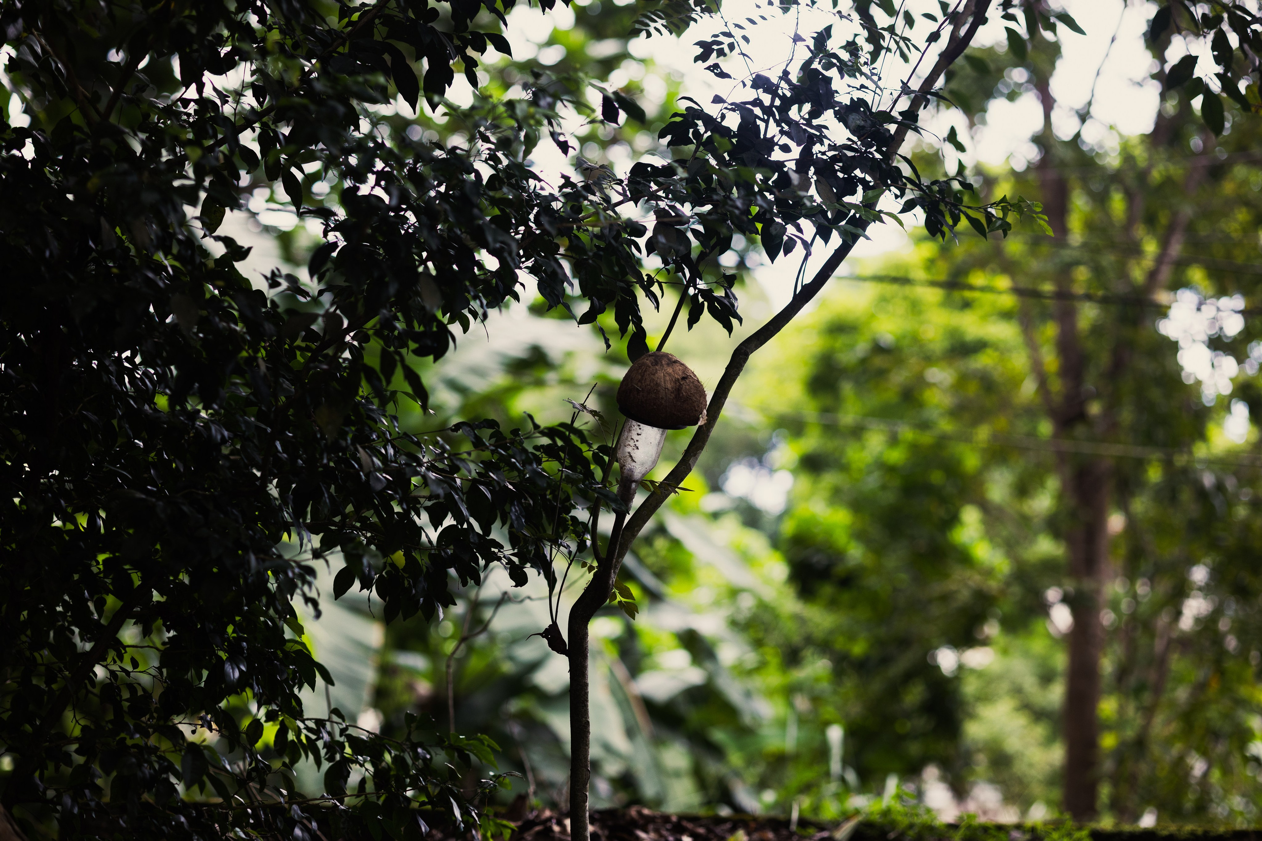 Weligama. Photographer Sonkina Tatiana (Tanya Ash)