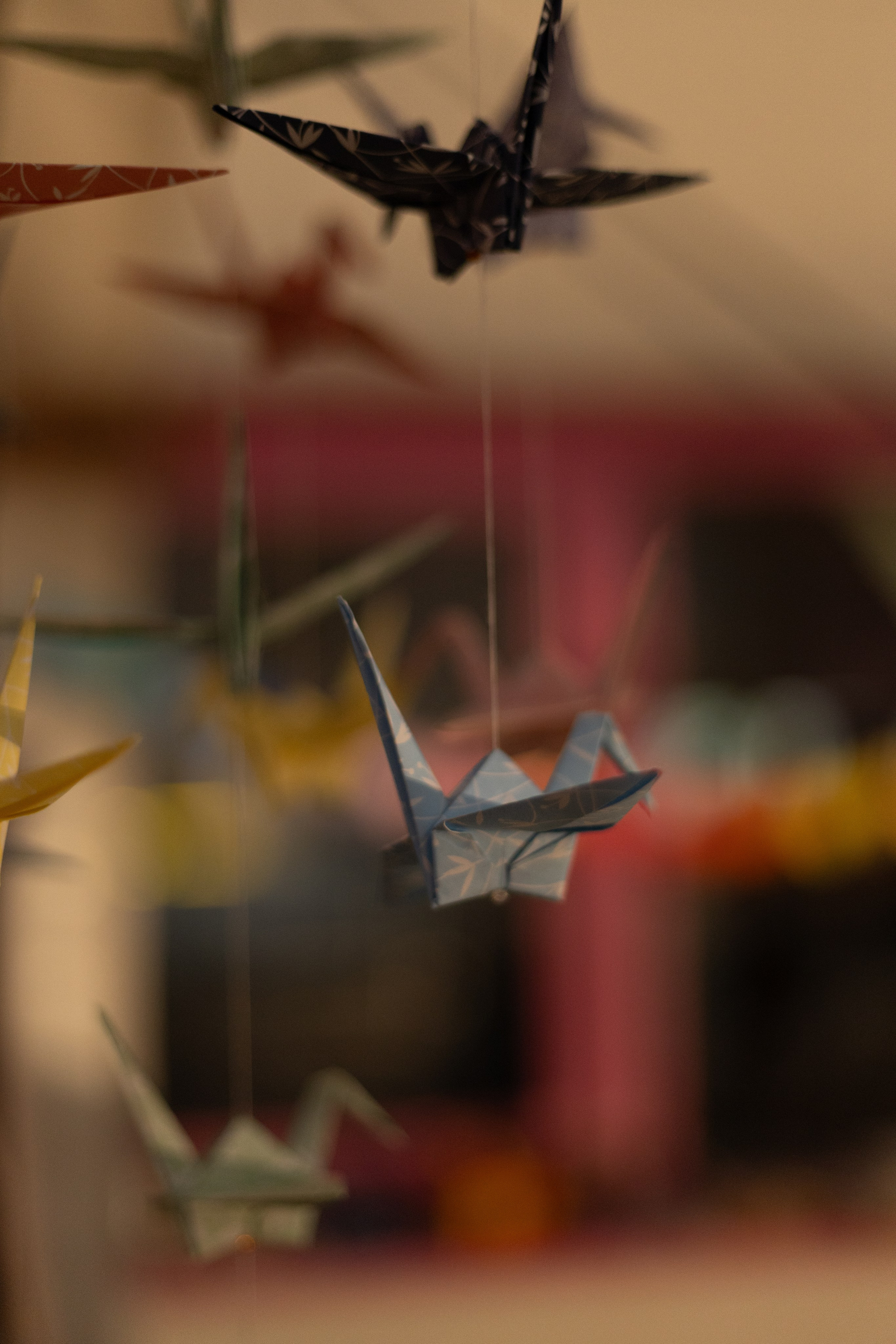 Berlin, music festival. Magic photos