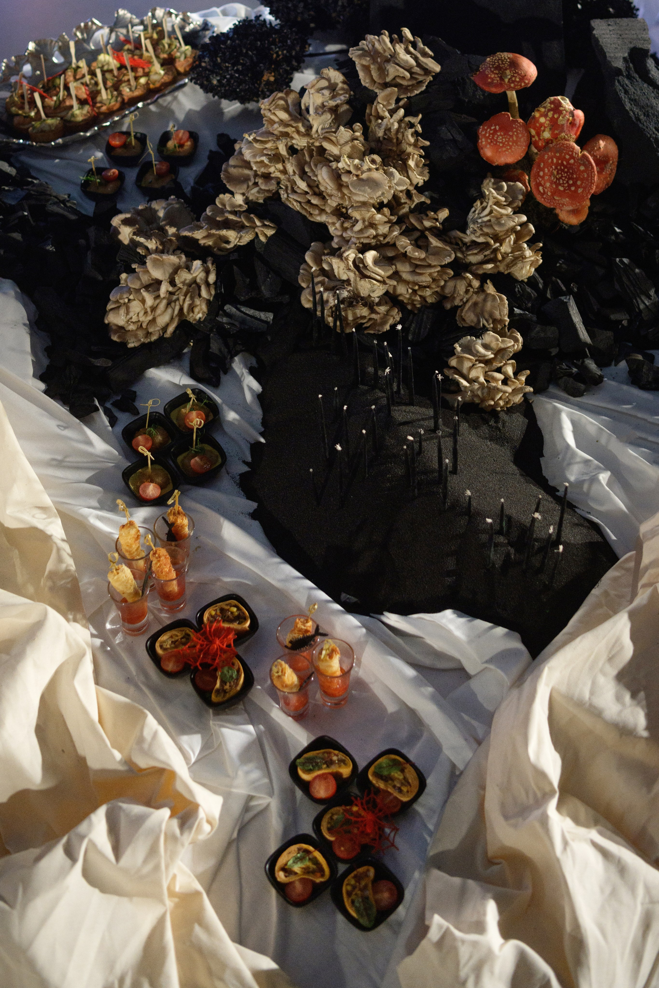 Decor by Favorite catering. Свадебный фотограф в Минске