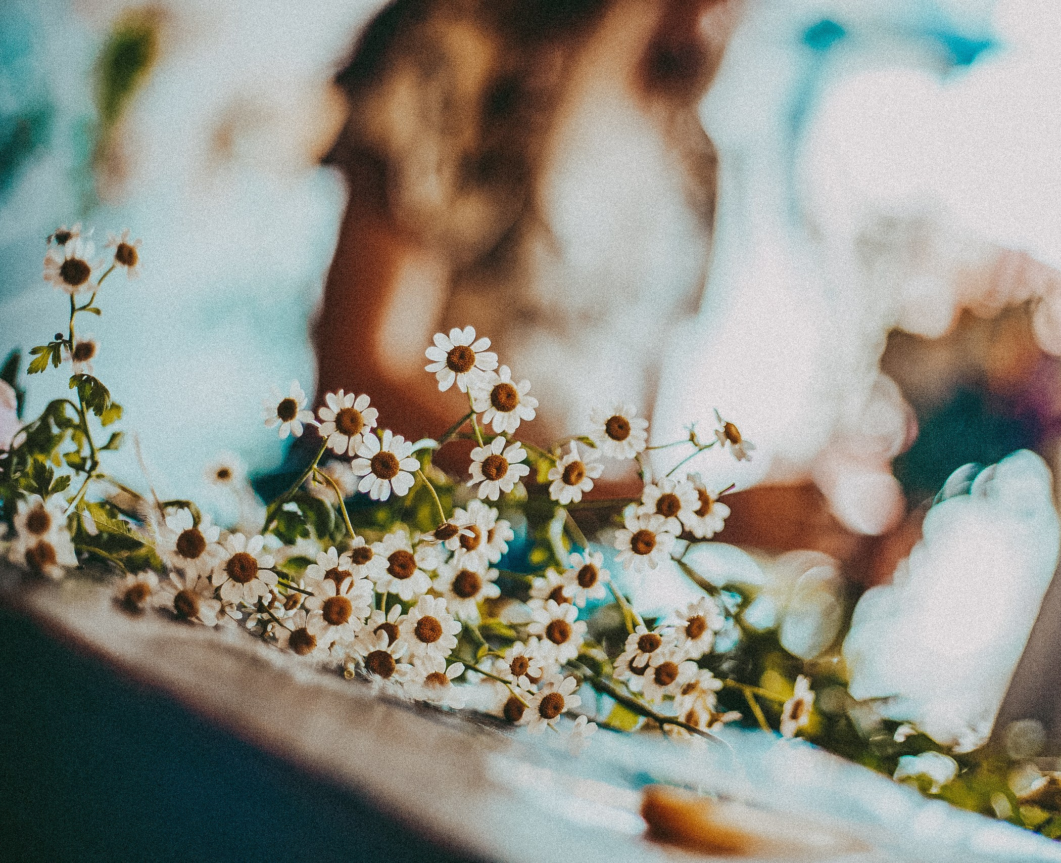 Цветочки — Бантики. Фотограф в городе Самара Александр Гераськин