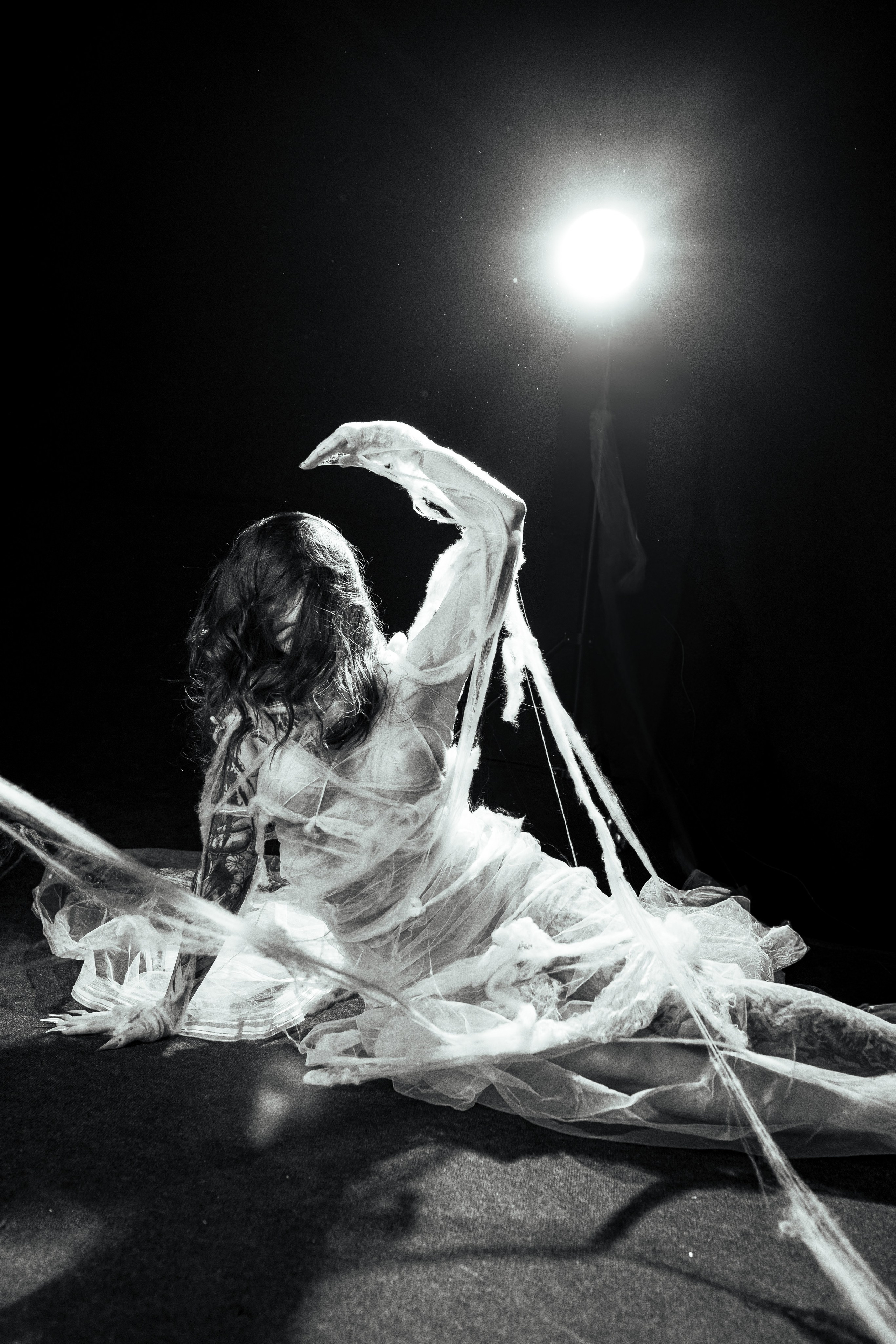 Diibae spider. Фотограф из Санкт-Петербурга Валерия Ленских