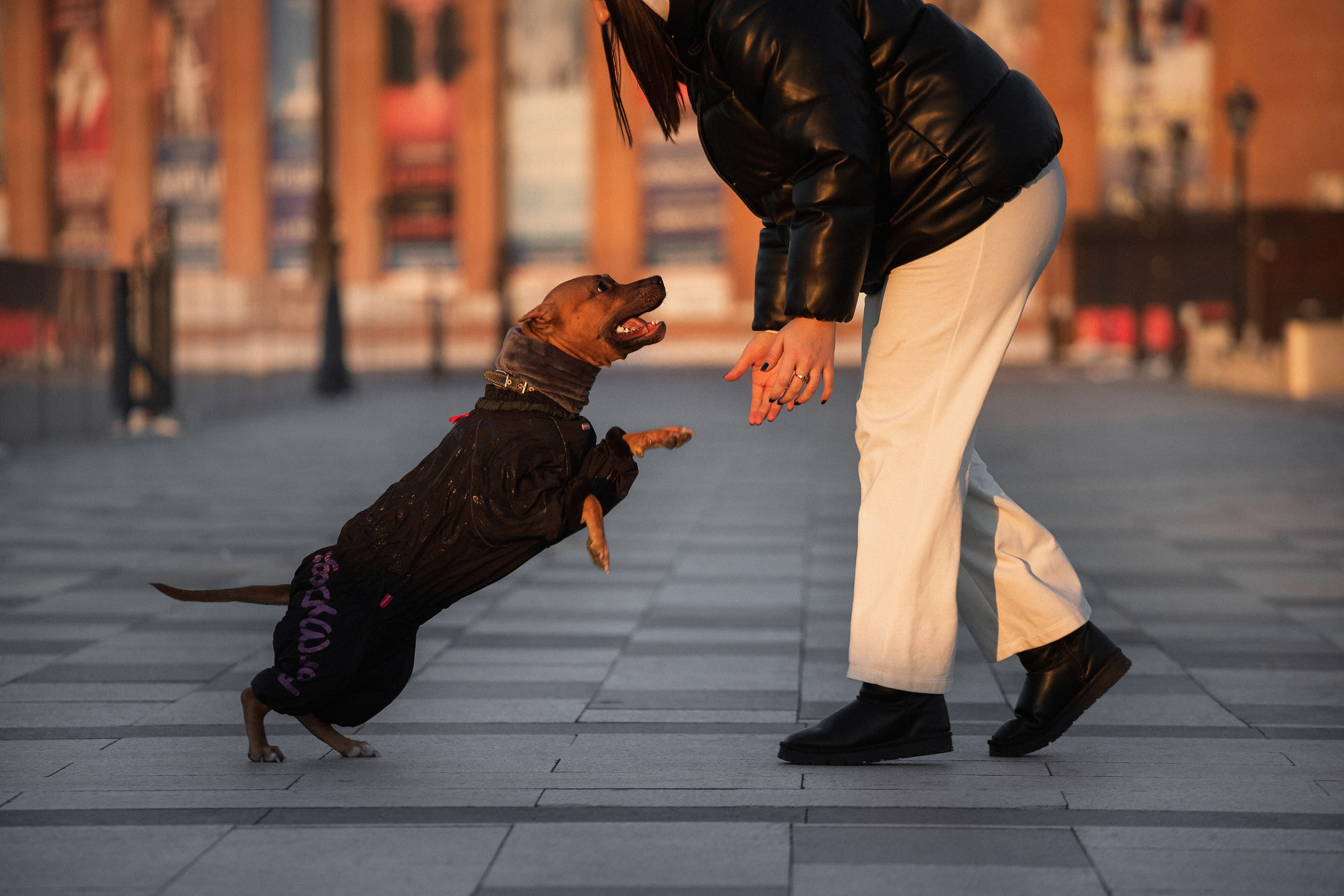 Арина и Стэфи. Фотограф — анималист Владивосток, Алина