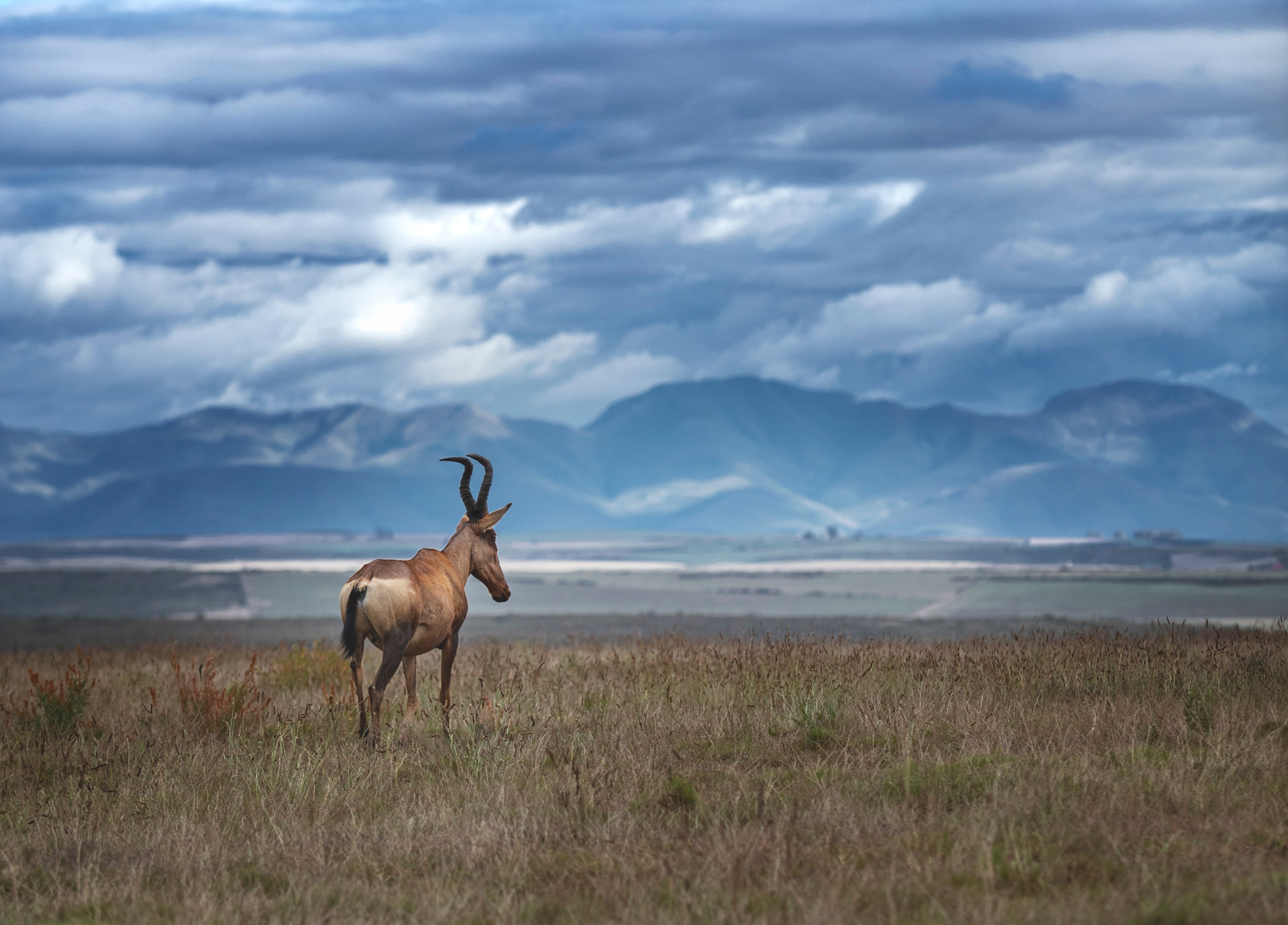 Фотограф Москва, Сергиев Посад