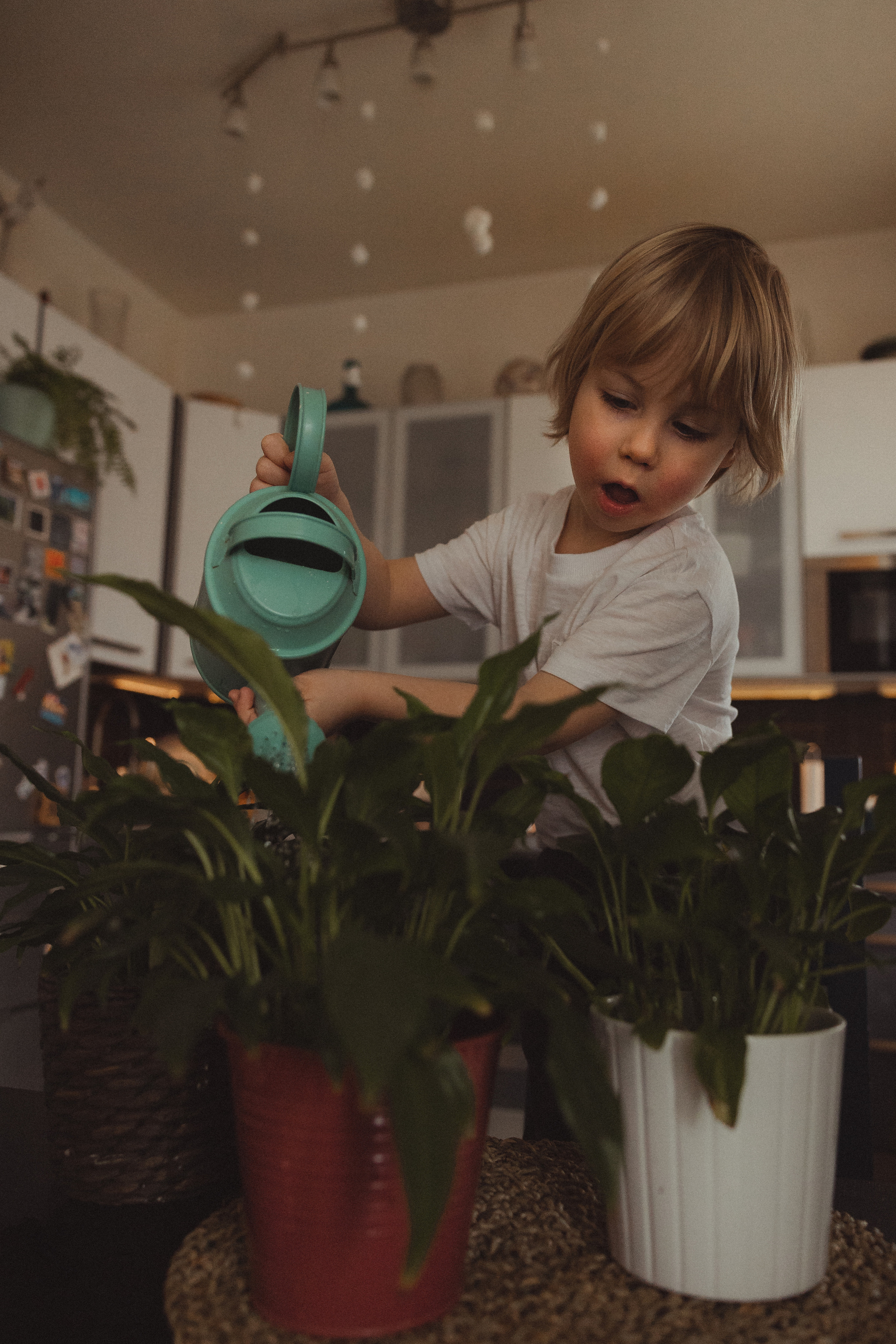 Аня, Олег и Мироша. Детский и семейный фотограф в Москве Мария Барыкина