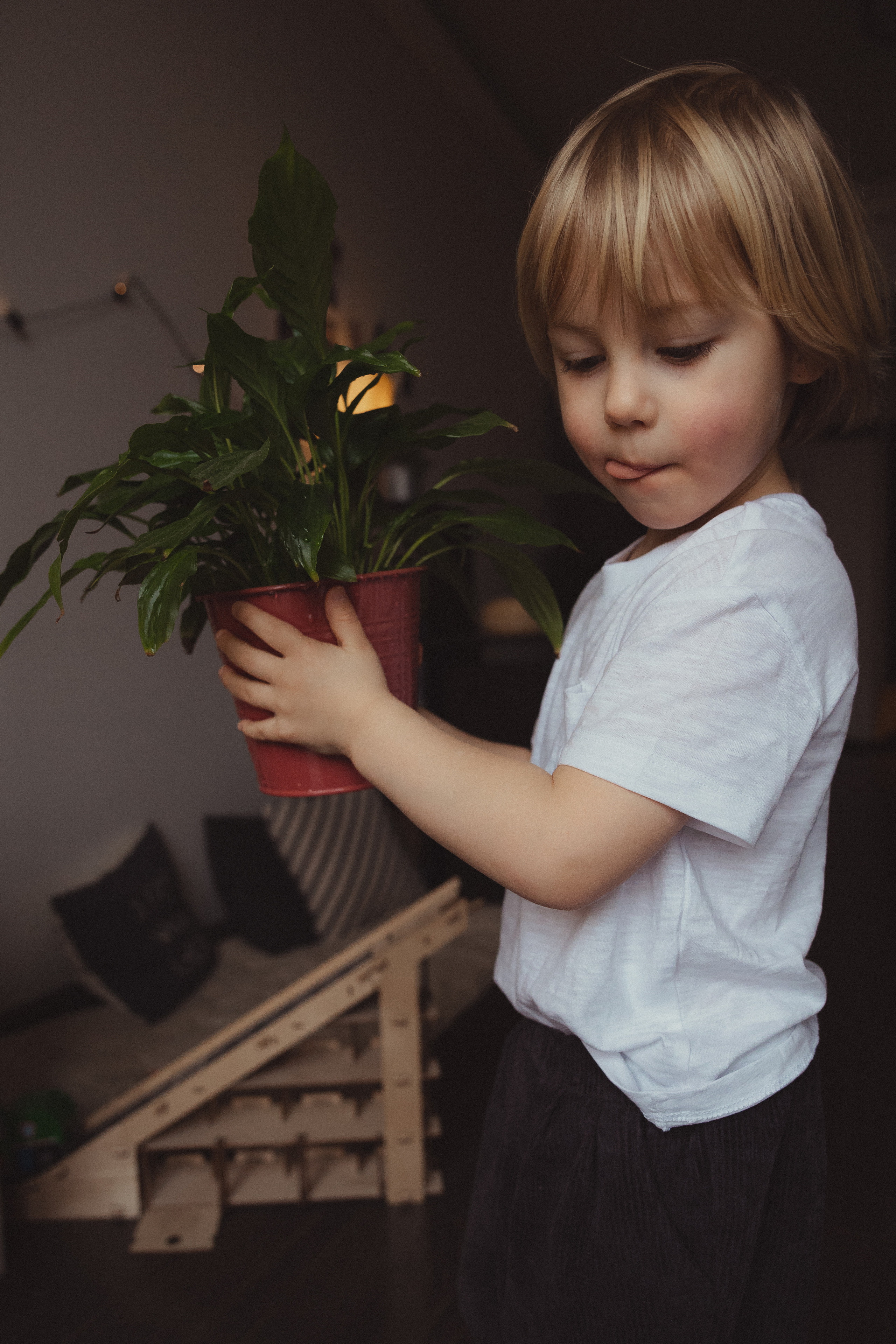 Аня, Олег и Мироша. Детский и семейный фотограф в Москве Мария Барыкина