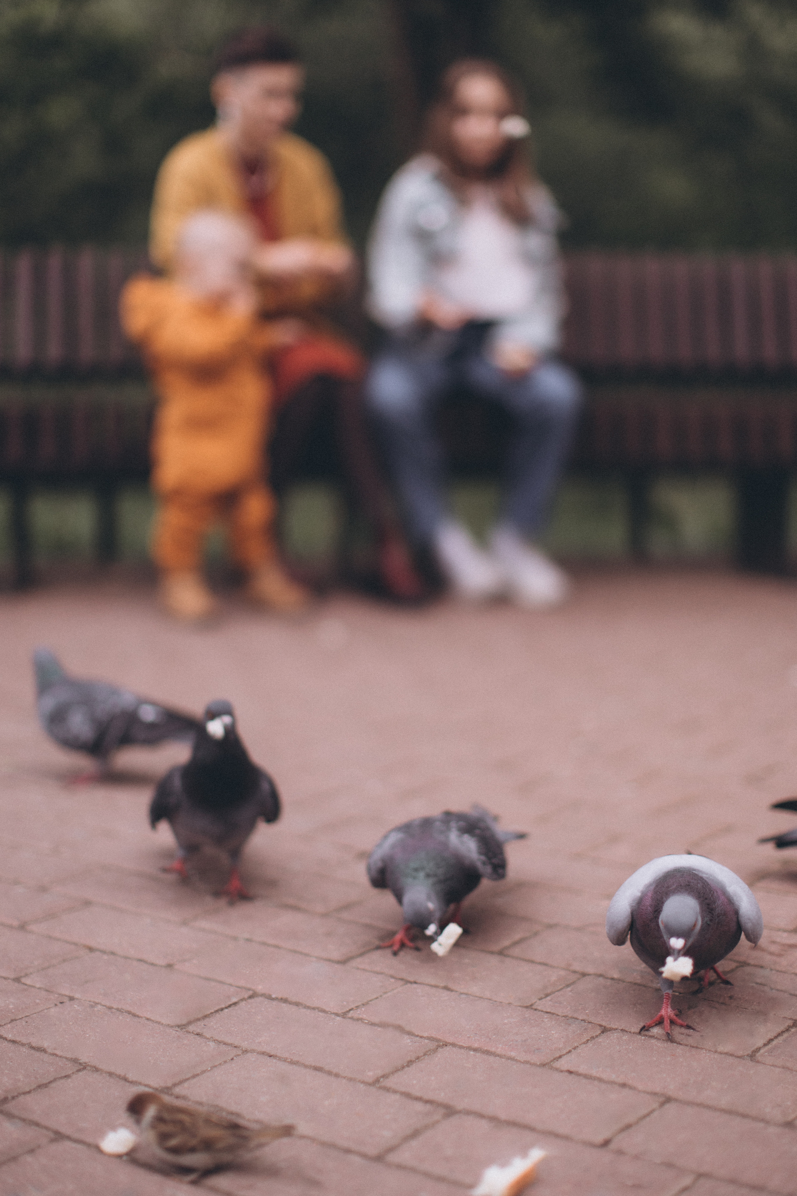 Настя, Ксю и Гри. Прогулка. Детский и семейный фотограф в Москве Мария Барыкина