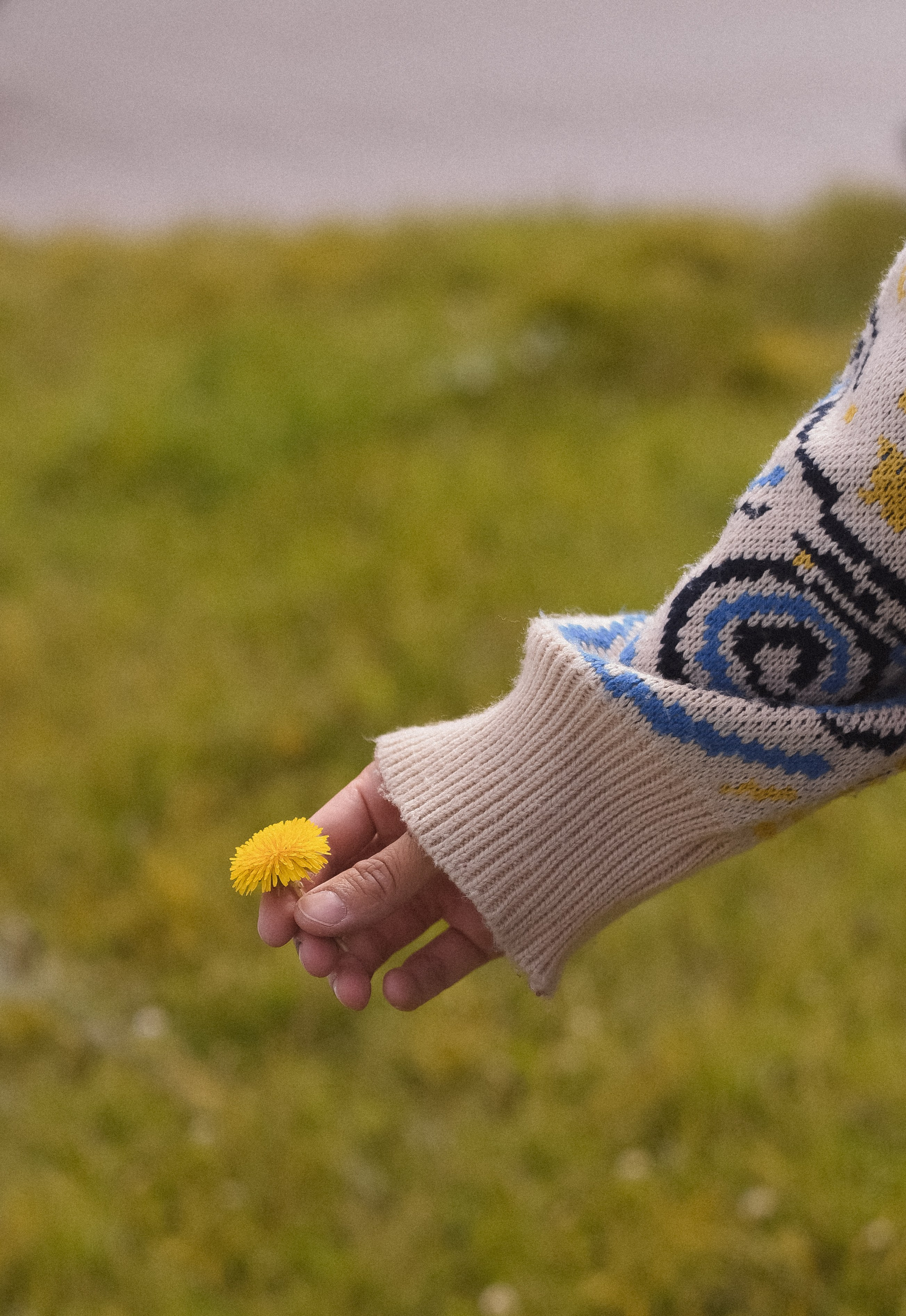 Любовь на просторах. Детский и семейный фотограф в Новосибирске Саша Дорошенко