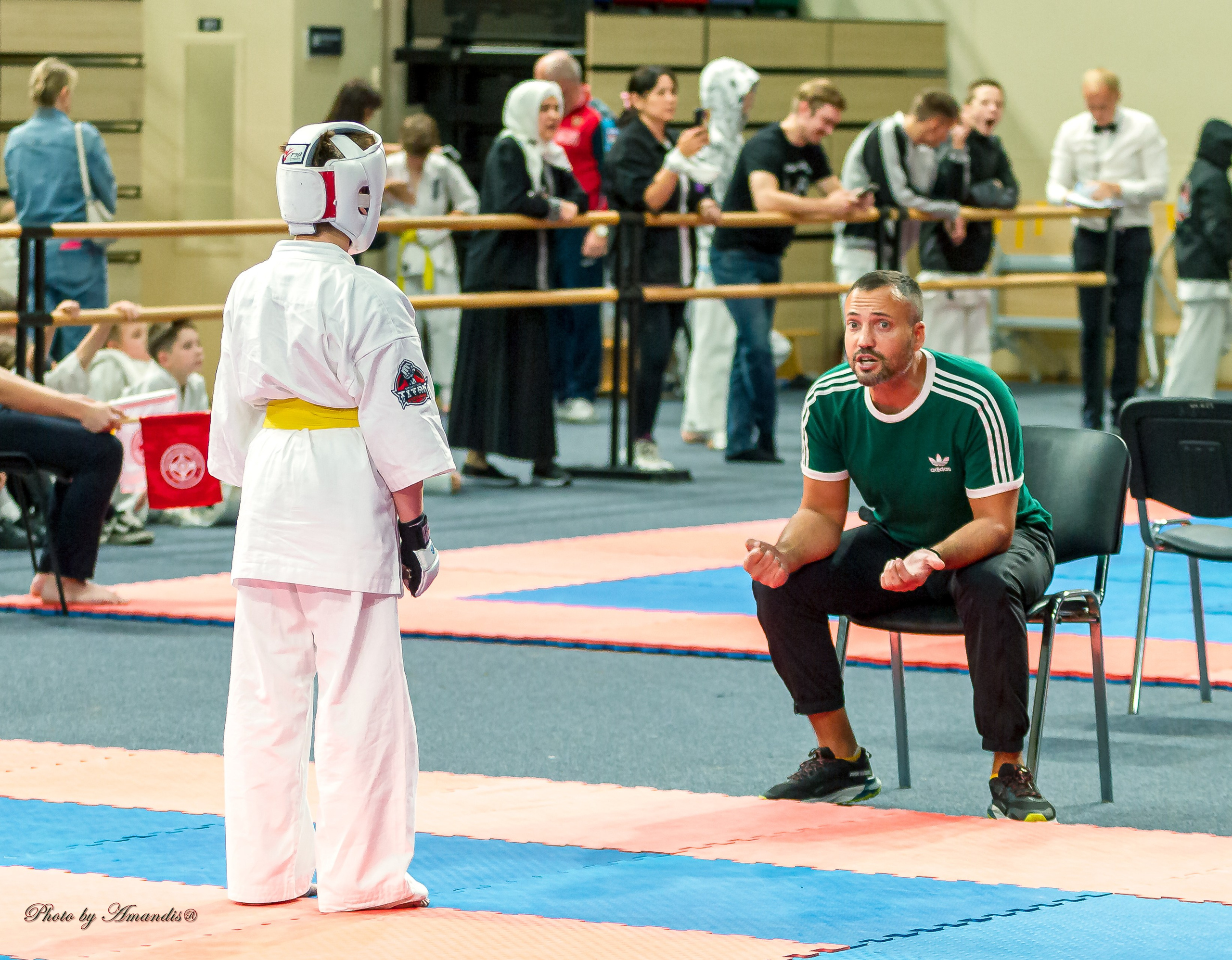 Первенство Московской области по Киокушин в СК «Жаворонки». Репортажная съемка в Москве и области. Анималистика