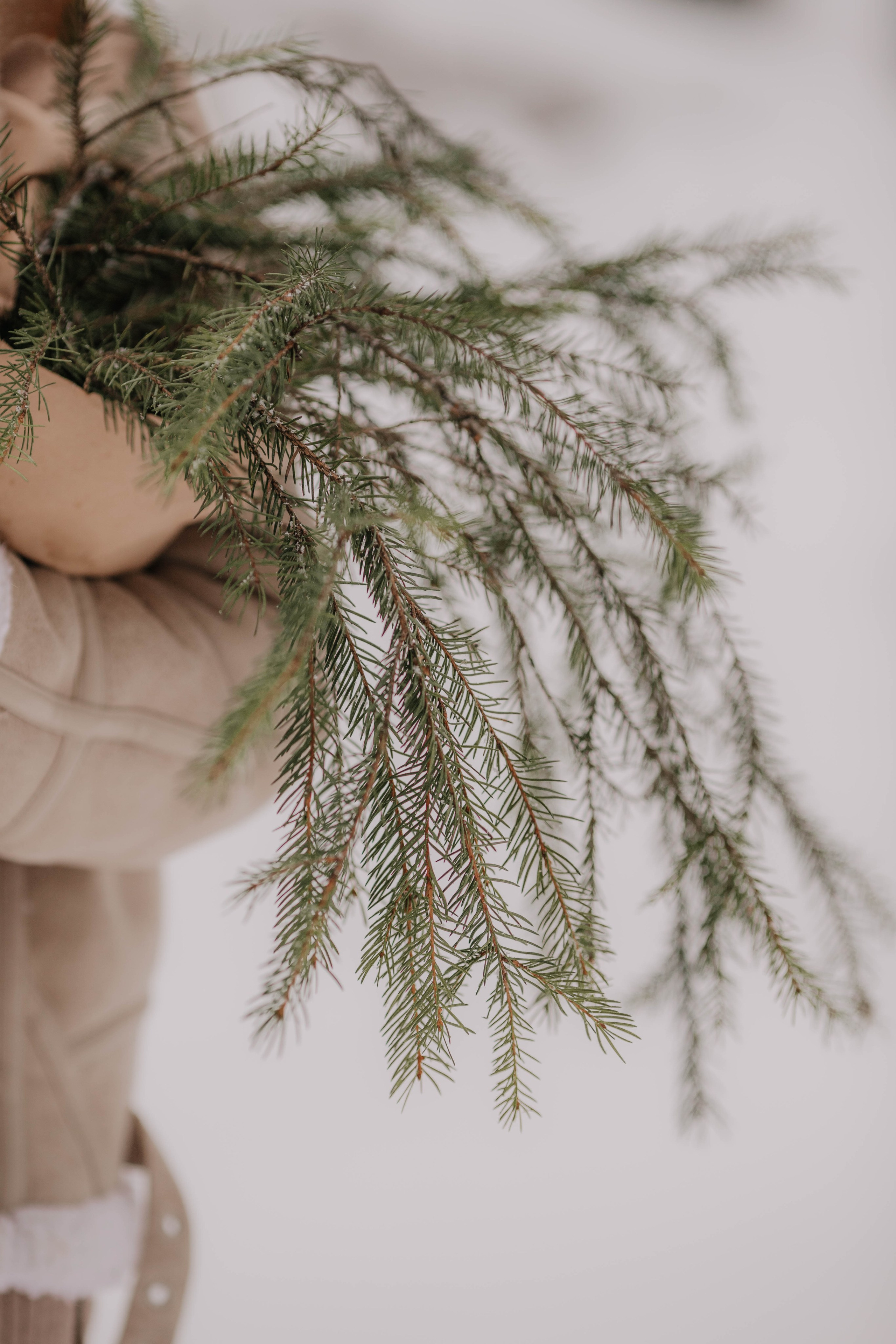 Лиля и семья Зимняя прогулка в лесу. Семейный и свадебный фотограф Видное Москва Екатерина Пятова