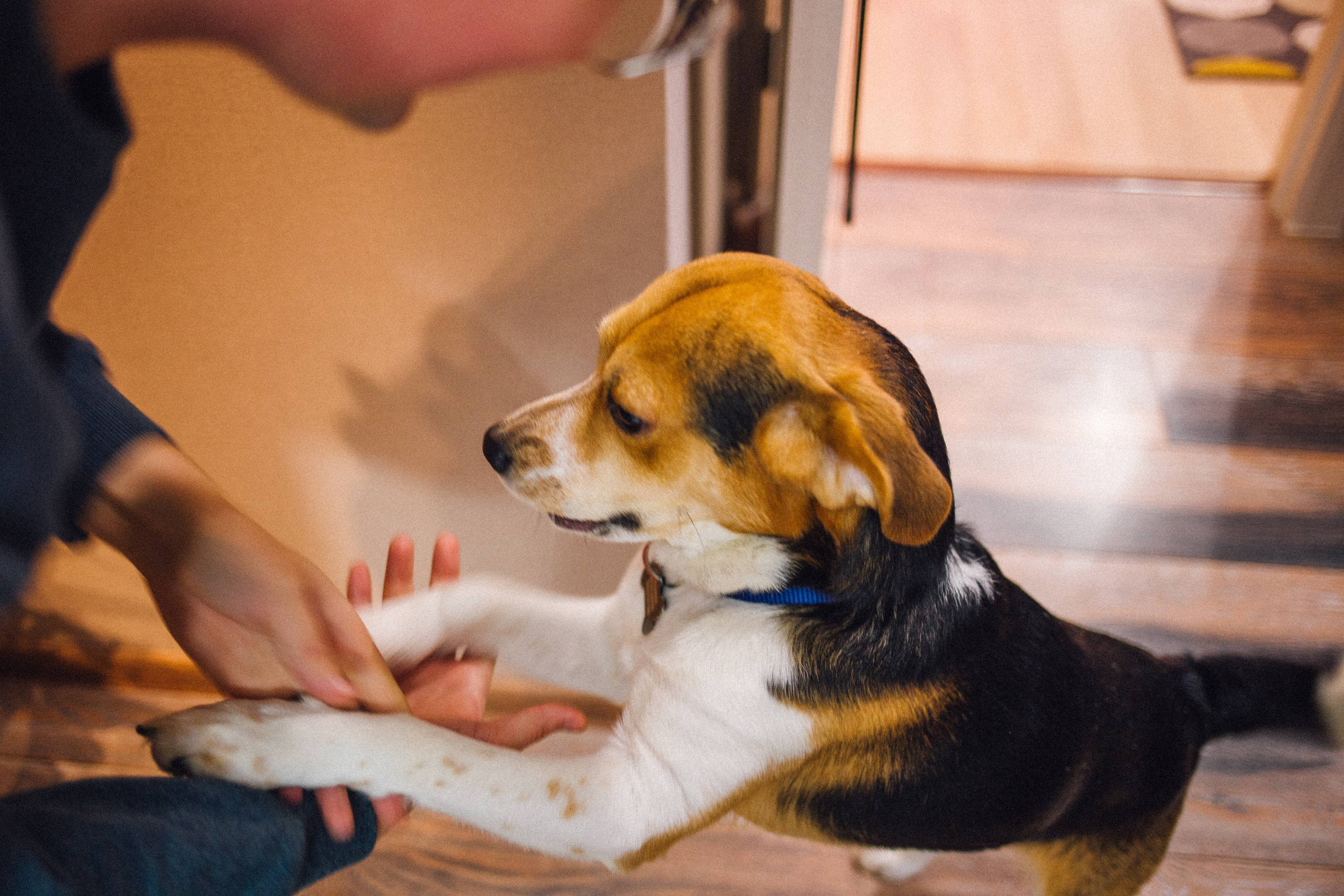 Никита. Фотограф в Волгограде Карина Хлебушкина