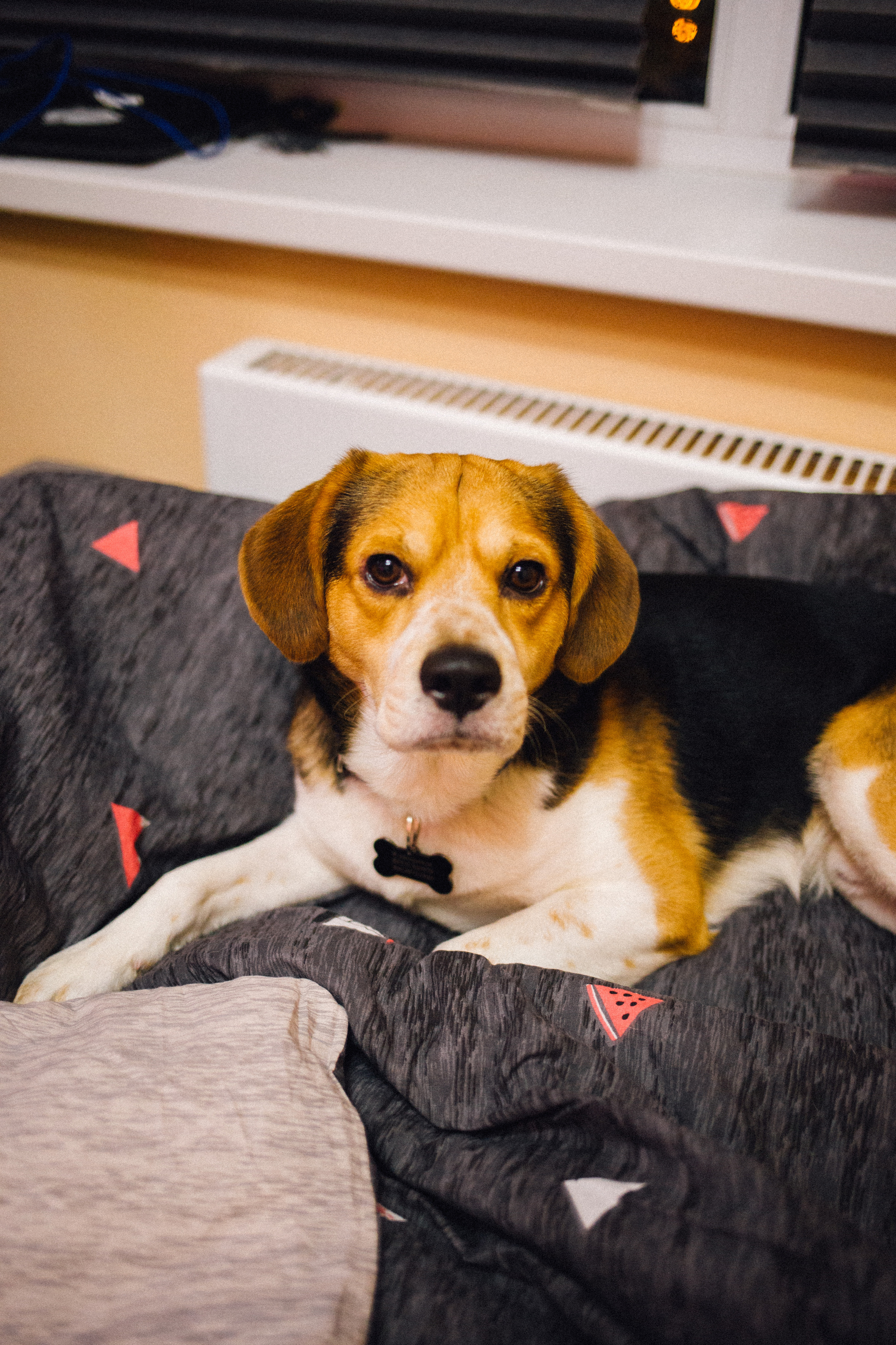 Никита. Фотограф в Волгограде Карина Хлебушкина