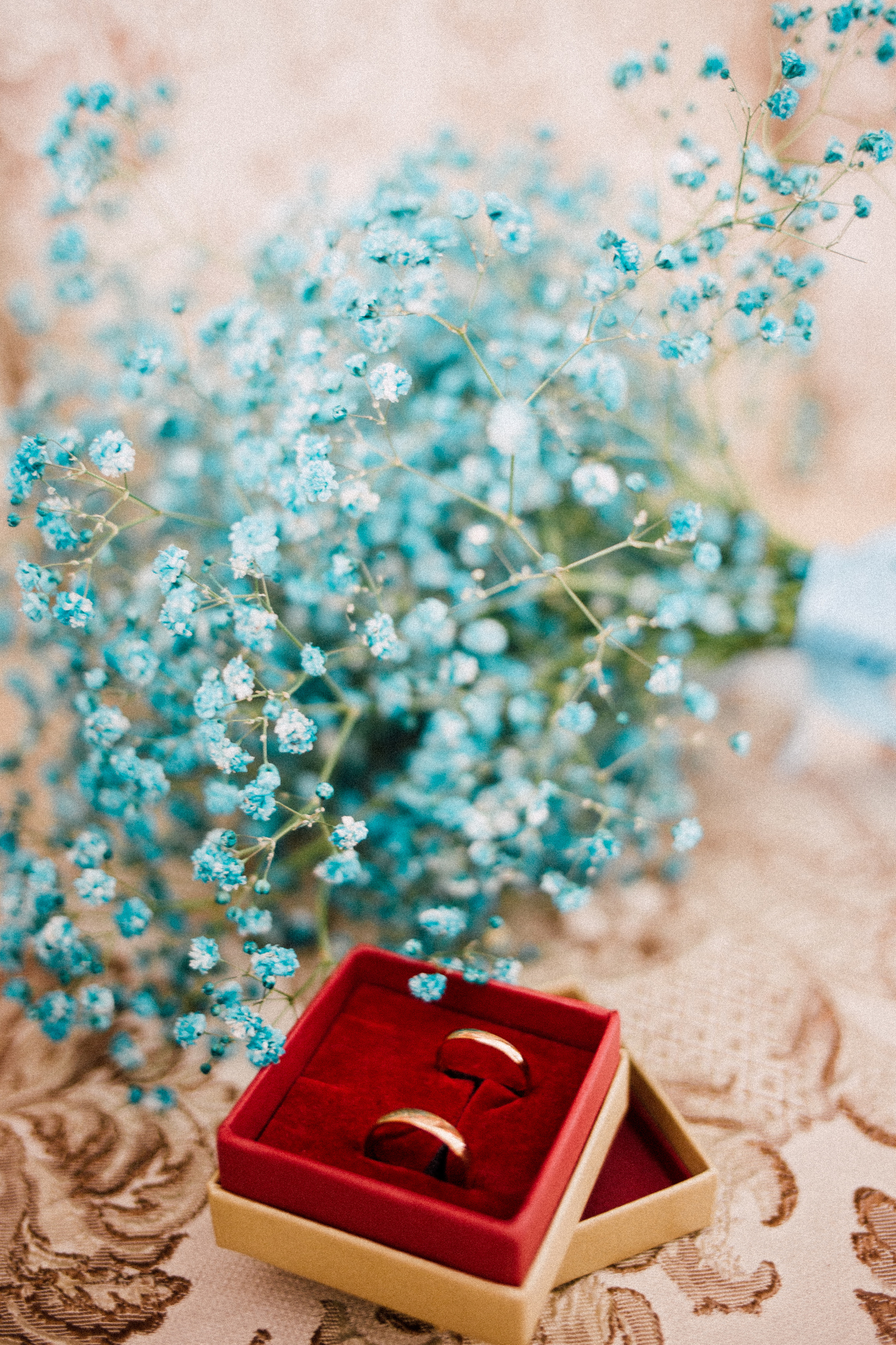 Саша + Даша. Фотограф в Волгограде Карина Хлебушкина