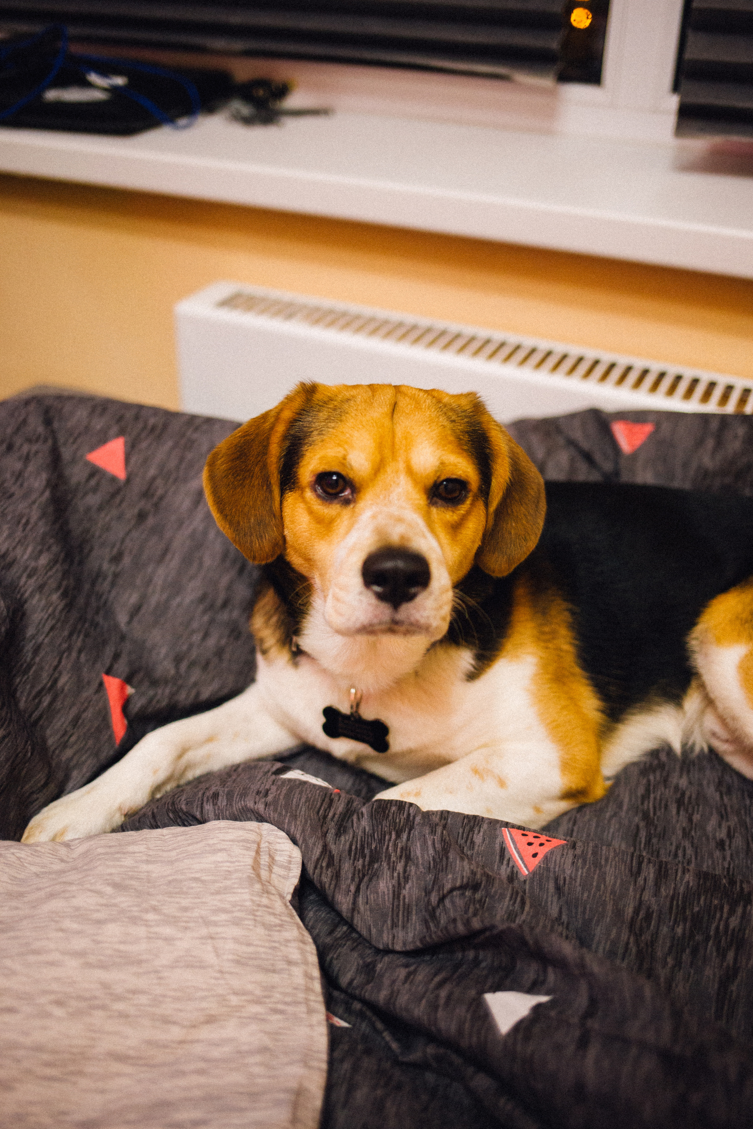 Никита. Фотограф в Волгограде Карина Хлебушкина