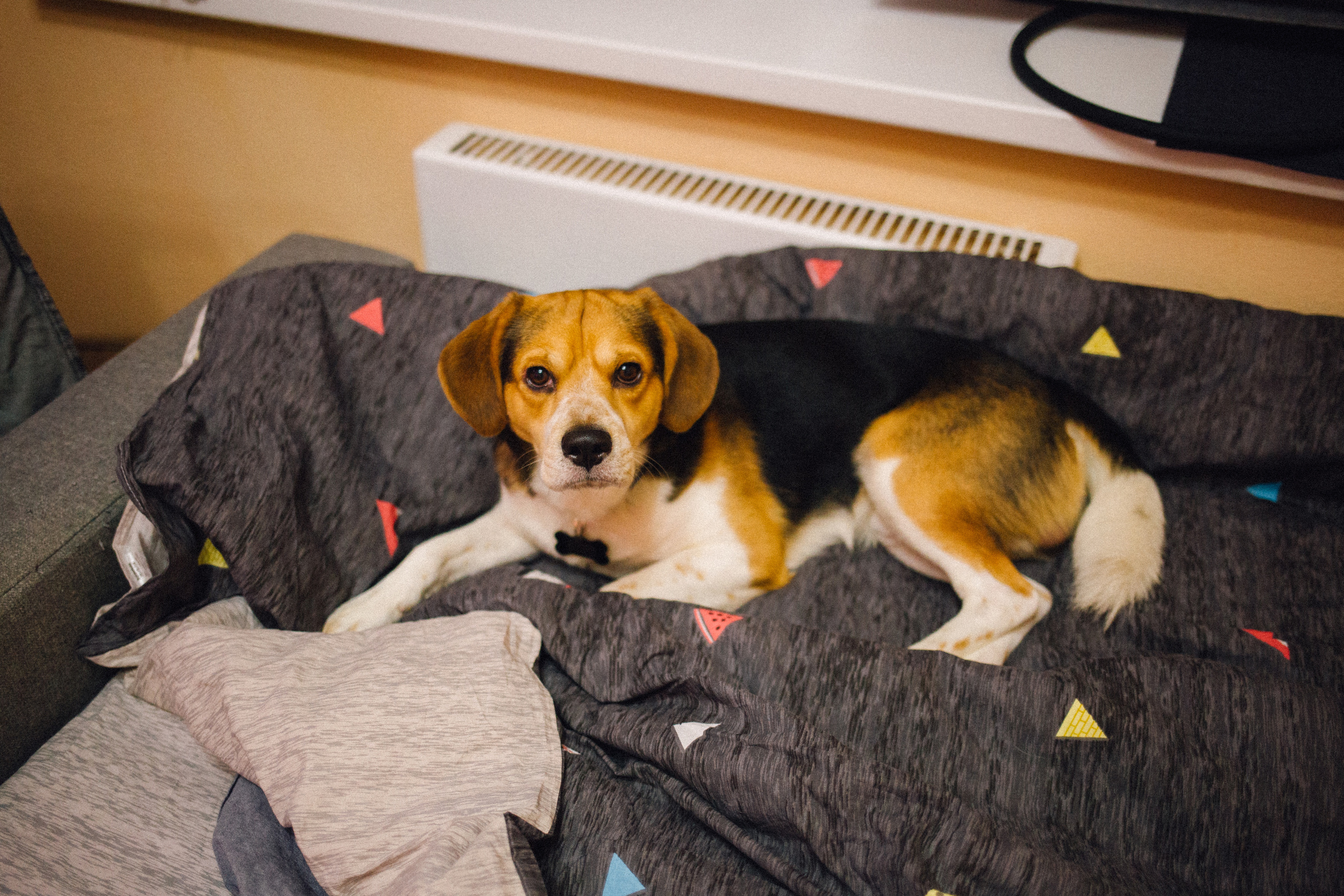 Никита. Фотограф в Волгограде Карина Хлебушкина