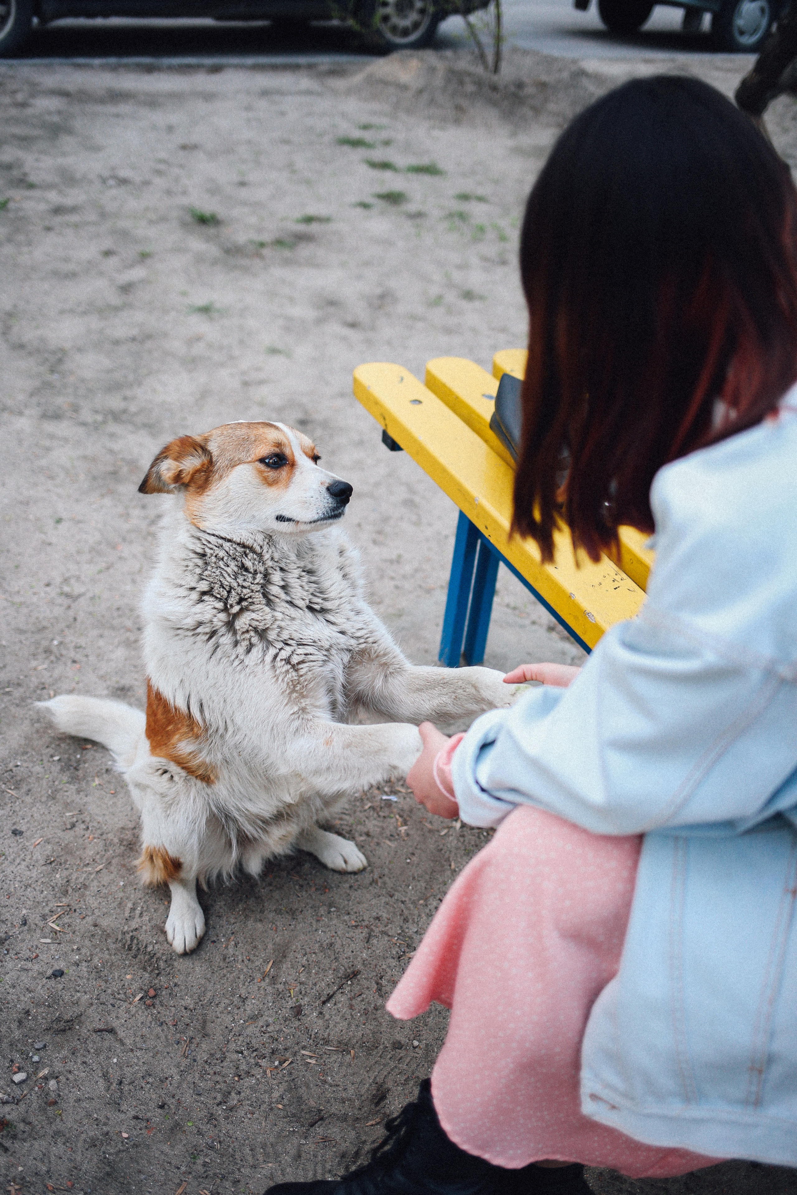Даша. Фотограф в Волгограде Карина Хлебушкина