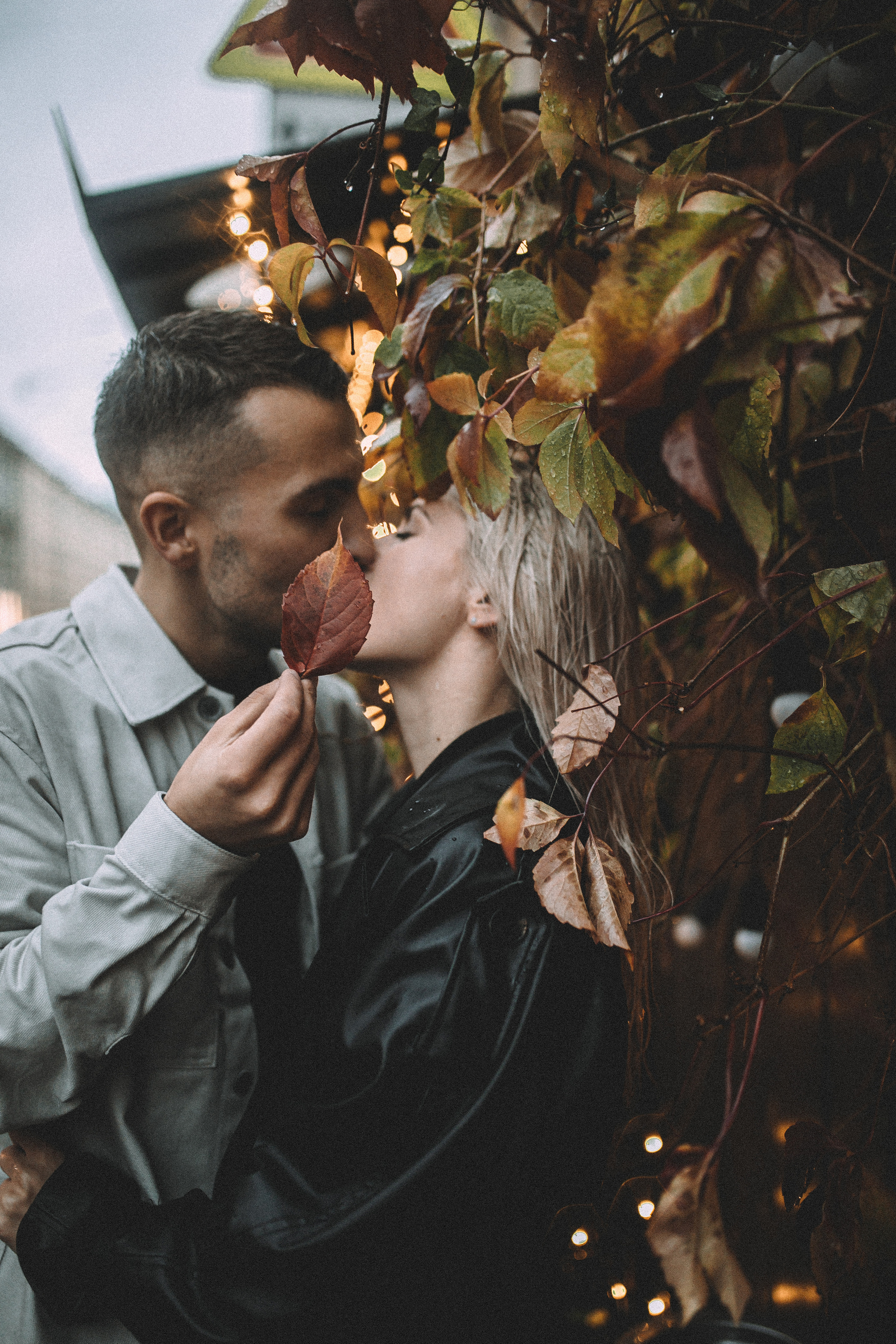 Предложение