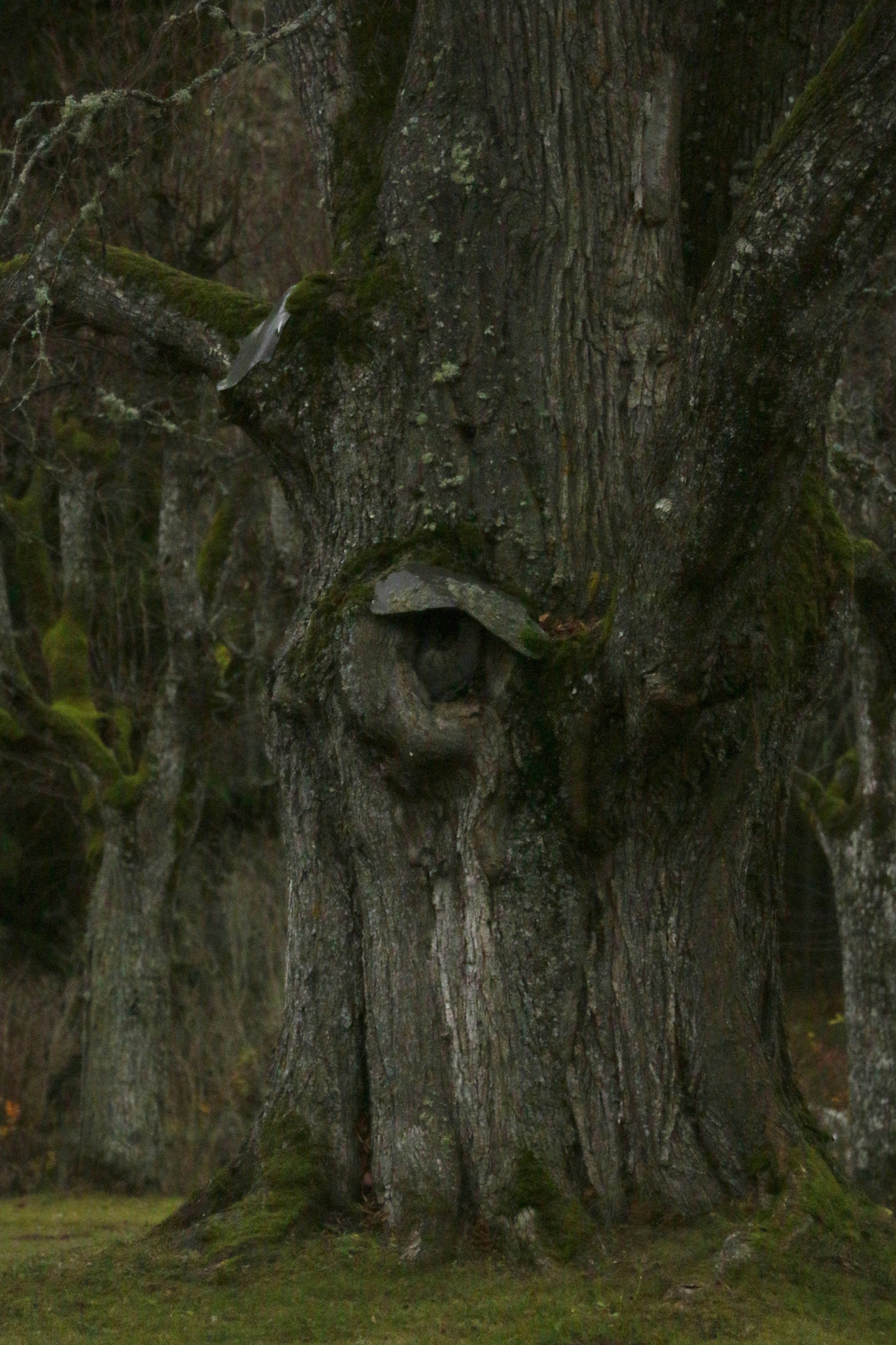 Пейзажи. Фотограф из Санкт-Петербурга — Виктория Горелкова