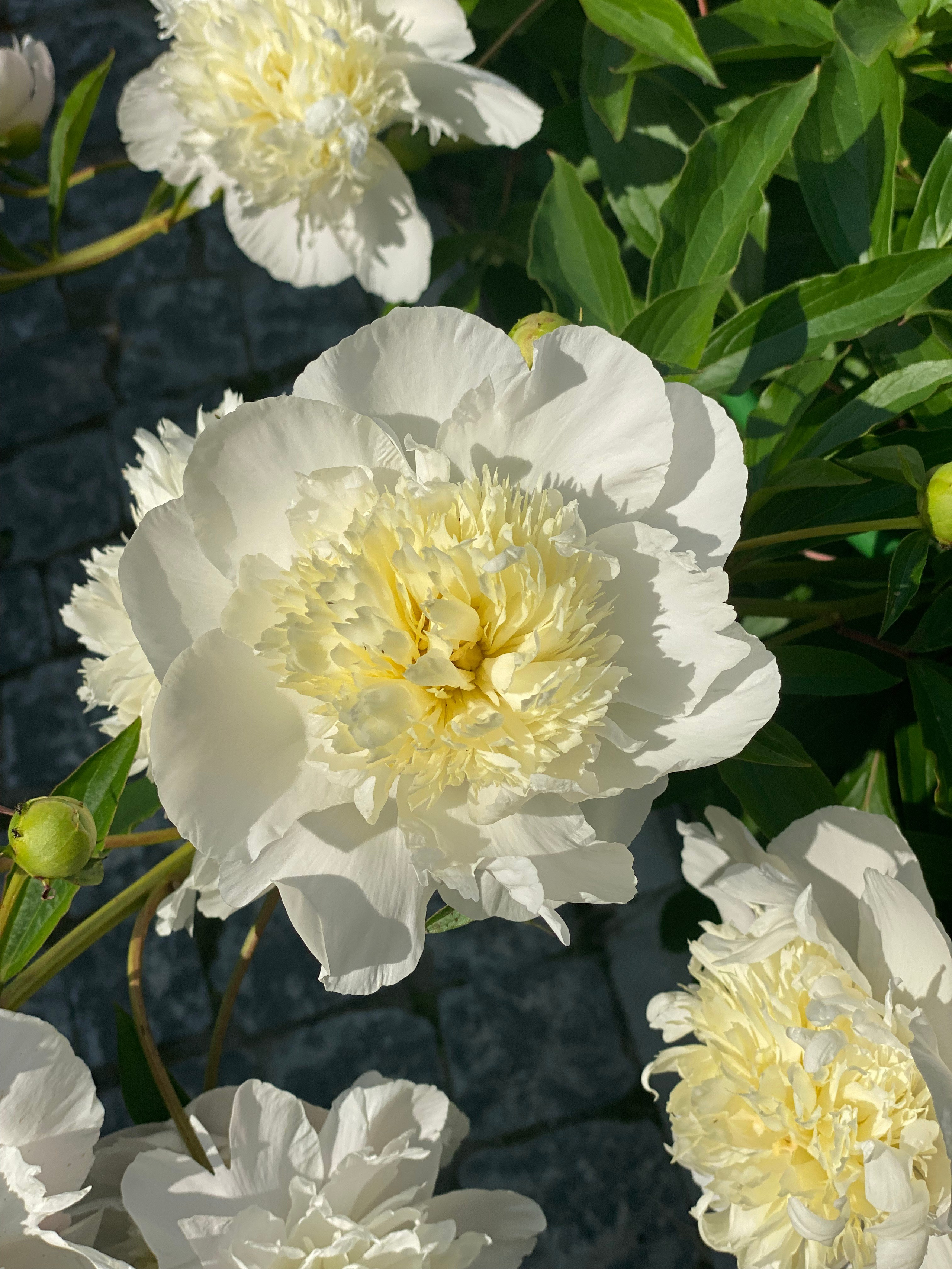 Коломна — 21. Своя Мастерская