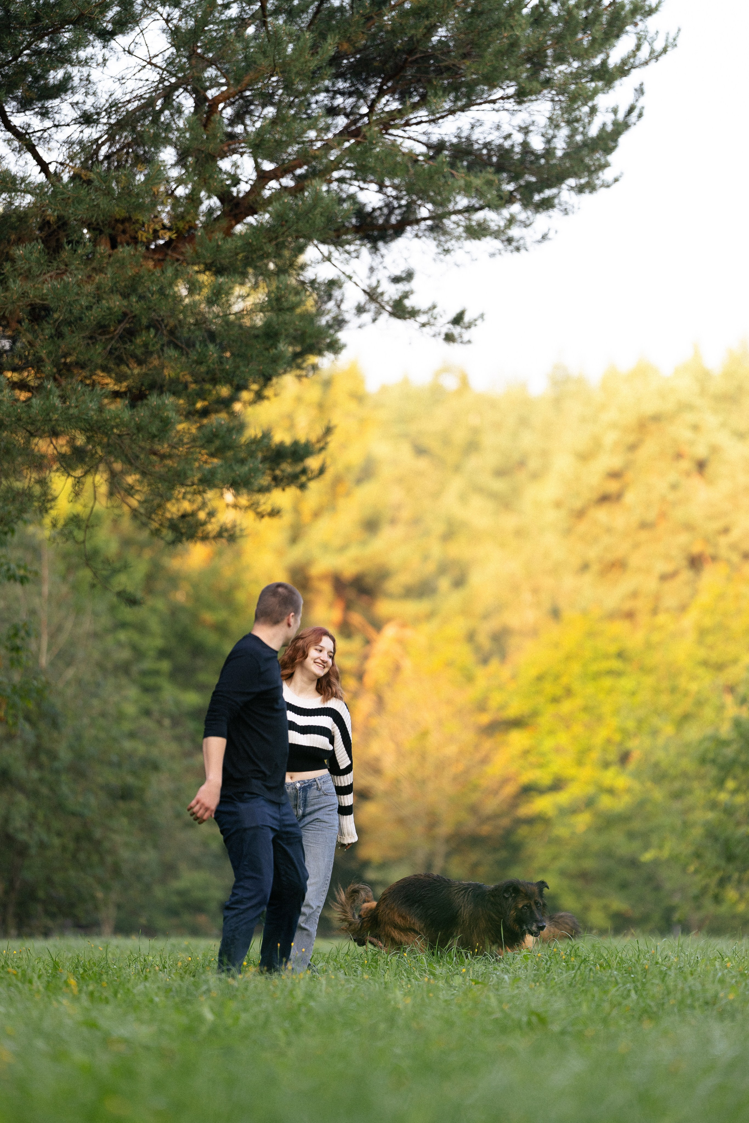 Алена, Матвей, Фанни и Фрея. Фотограф и видеограф анималист Аганина Дарья
