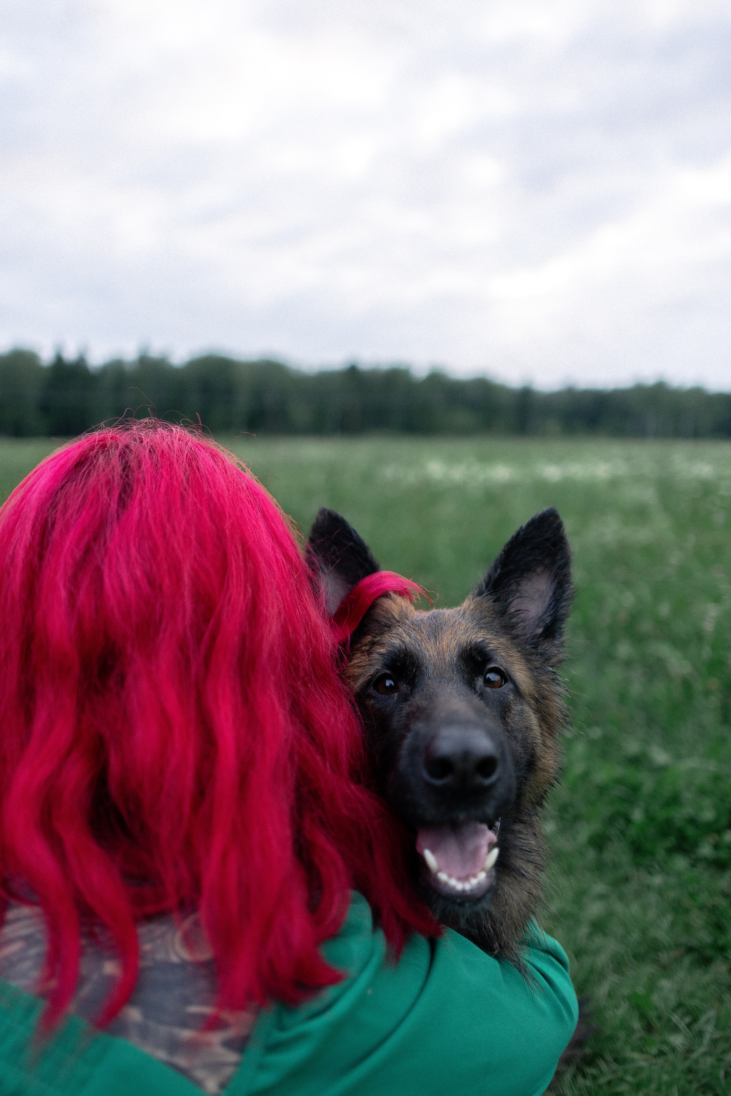 Алена, Фанни и Фрея. Фотограф и видеограф анималист Аганина Дарья