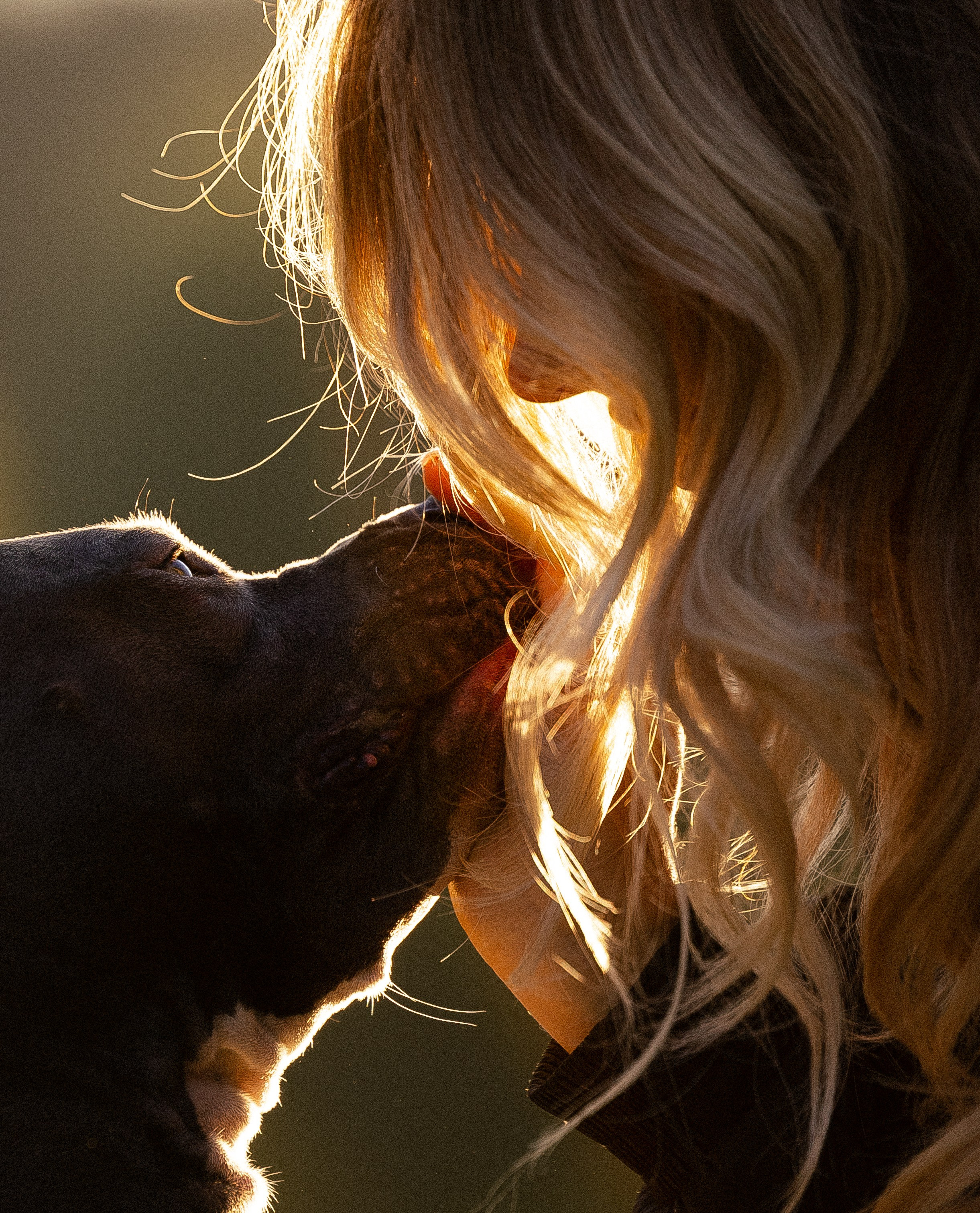 Катя, Леша, Лея и Трой. Фотограф и видеограф анималист Аганина Дарья