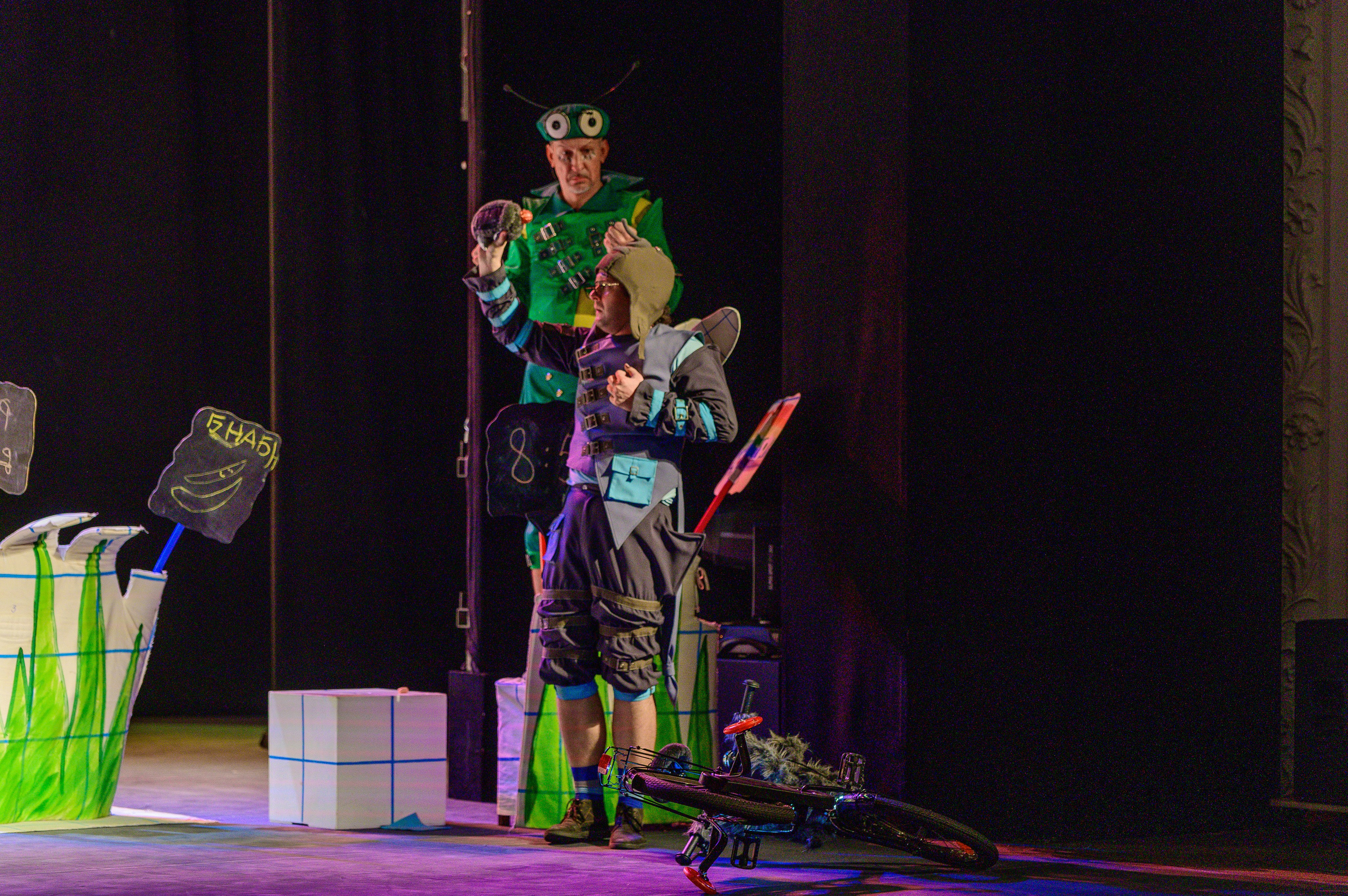 Муха Цокотуха. Фотоуслуги, услуги фотографа, фотографирование важных событий