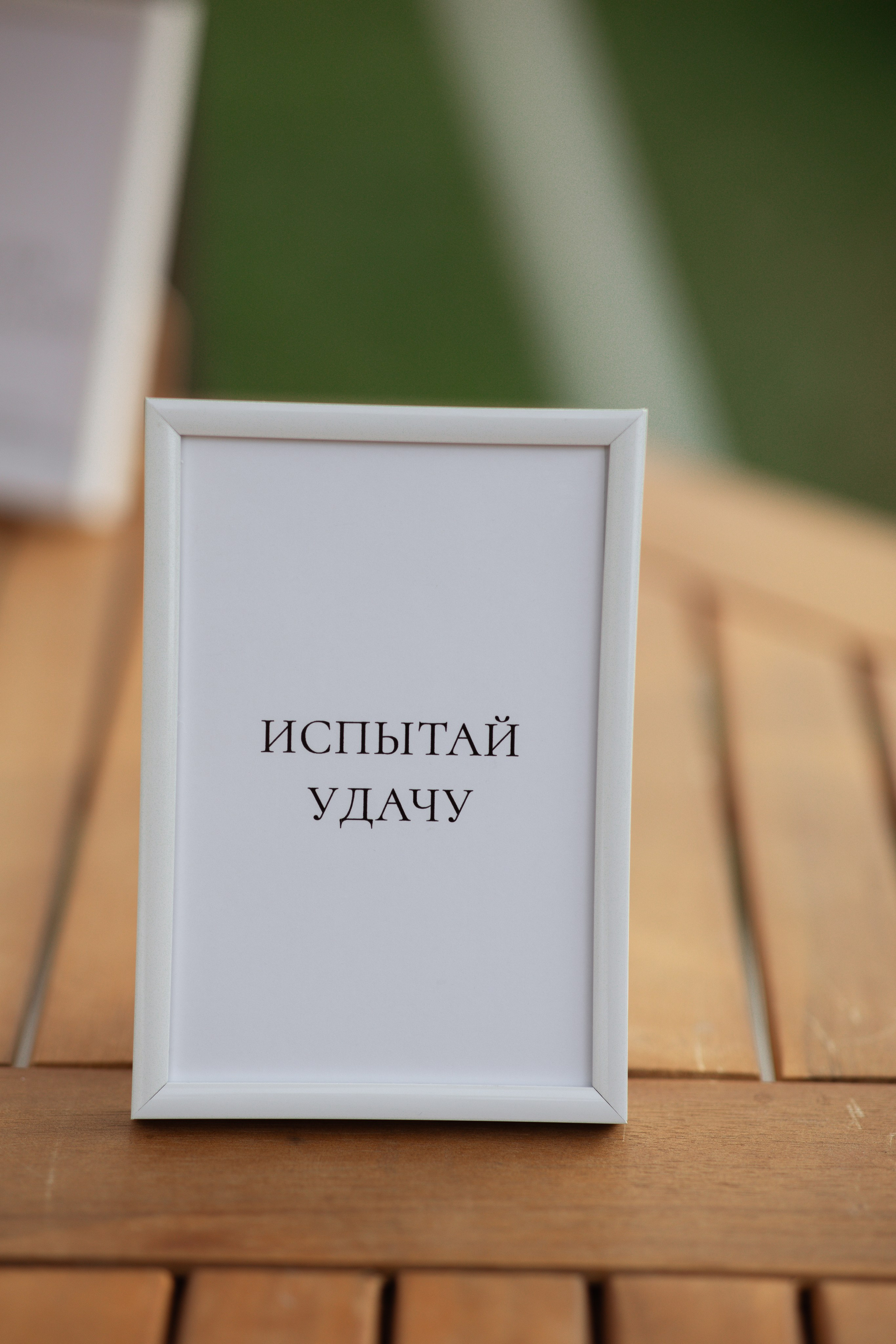 Minimalistic & Green: свадьба за городом. Свадебный фотограф Елена Рубцова