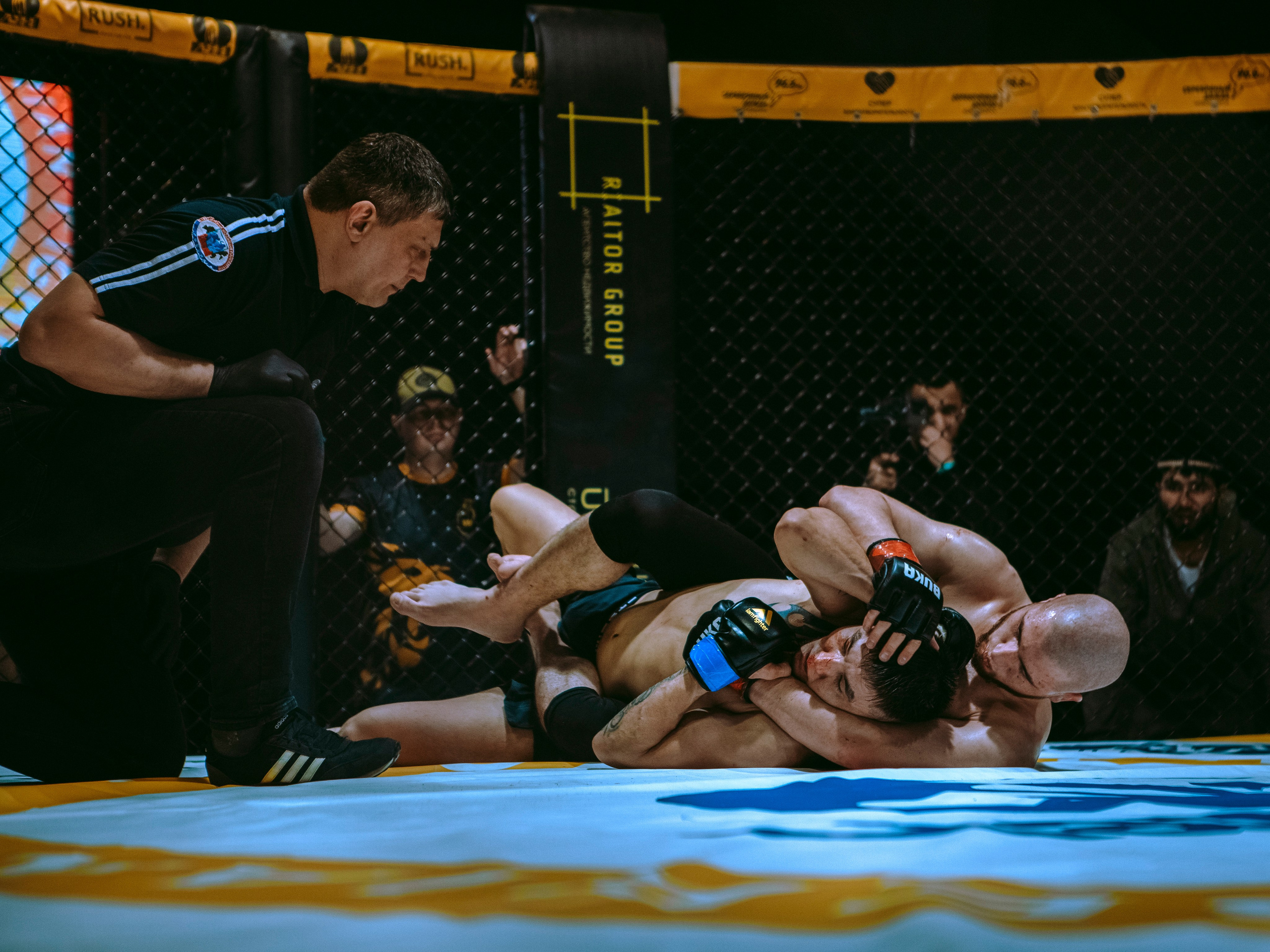 SFL 17 | Siberian Fighting League. Портретный фотограф в Москве Дарья Цезария