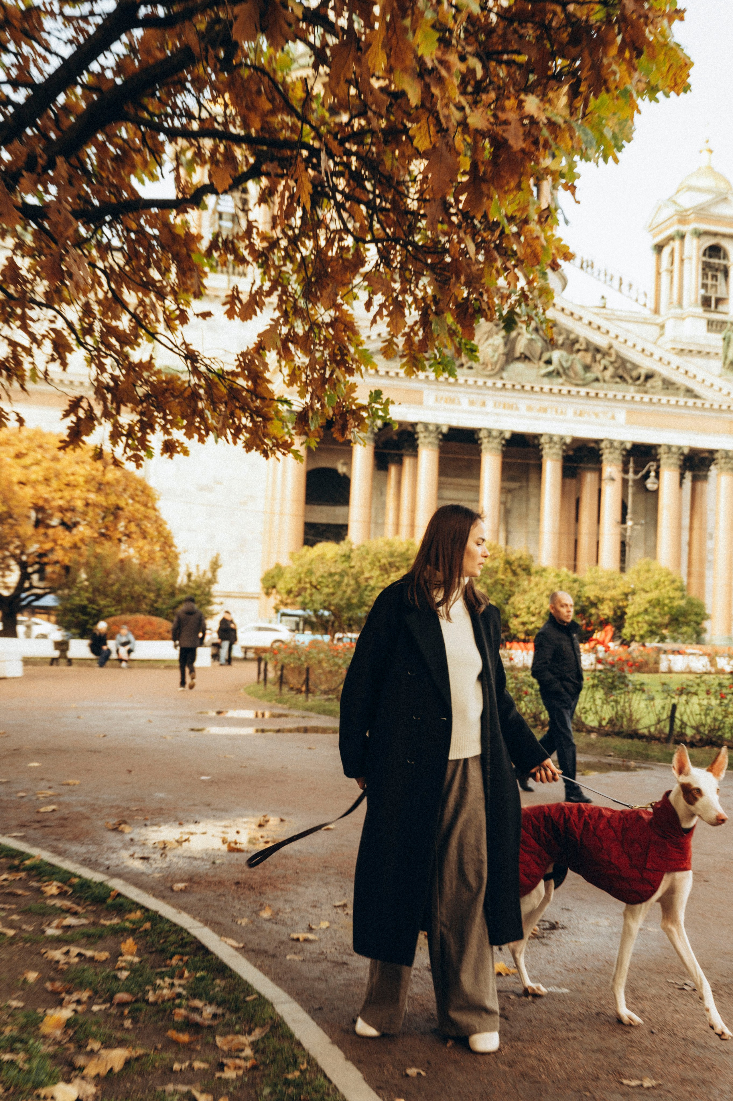 Валерия. Профессиональный фотограф беременности в СПБ. Стильные фотосессии беременности в стиле минимализм и классическая фотография