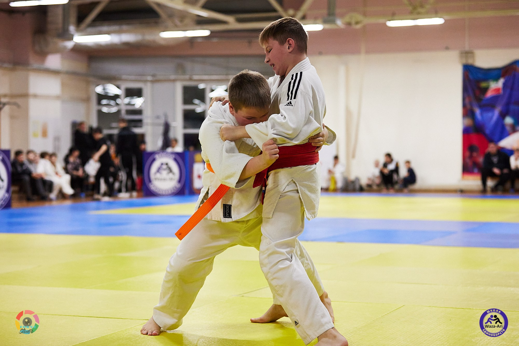 Репортаж Турнир по дзюдо. Спортивный фотограф Некрасов Денис