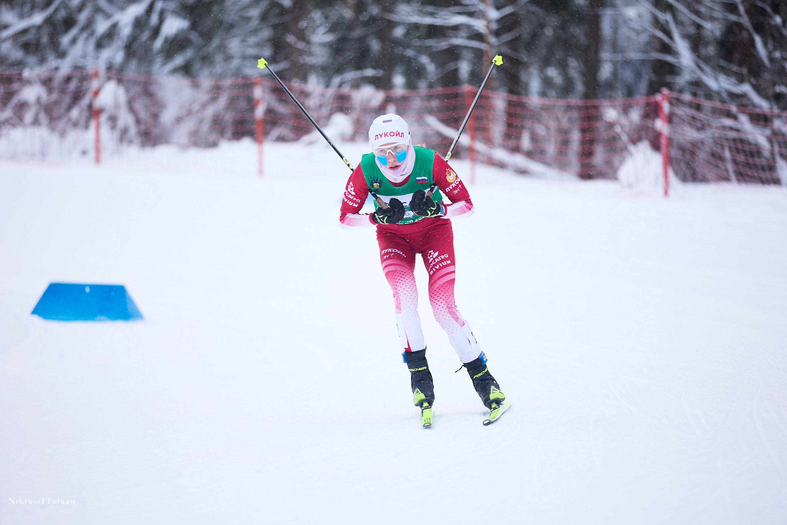 Кубок России по Лыжным гонкам. Спортивный фотограф Некрасов Денис