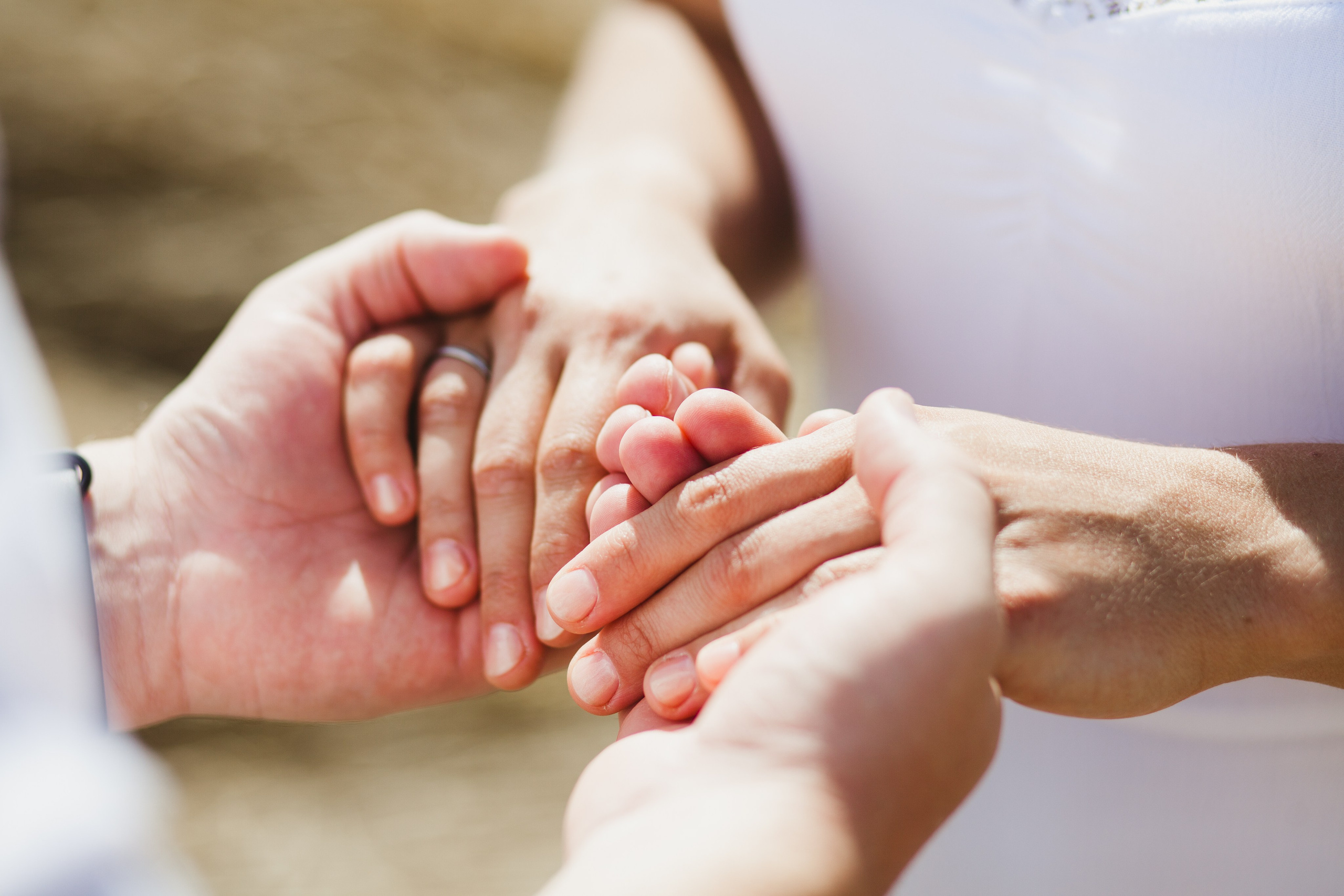 В поле с колосьями. Семейный и школьный фотограф Громова Ольга