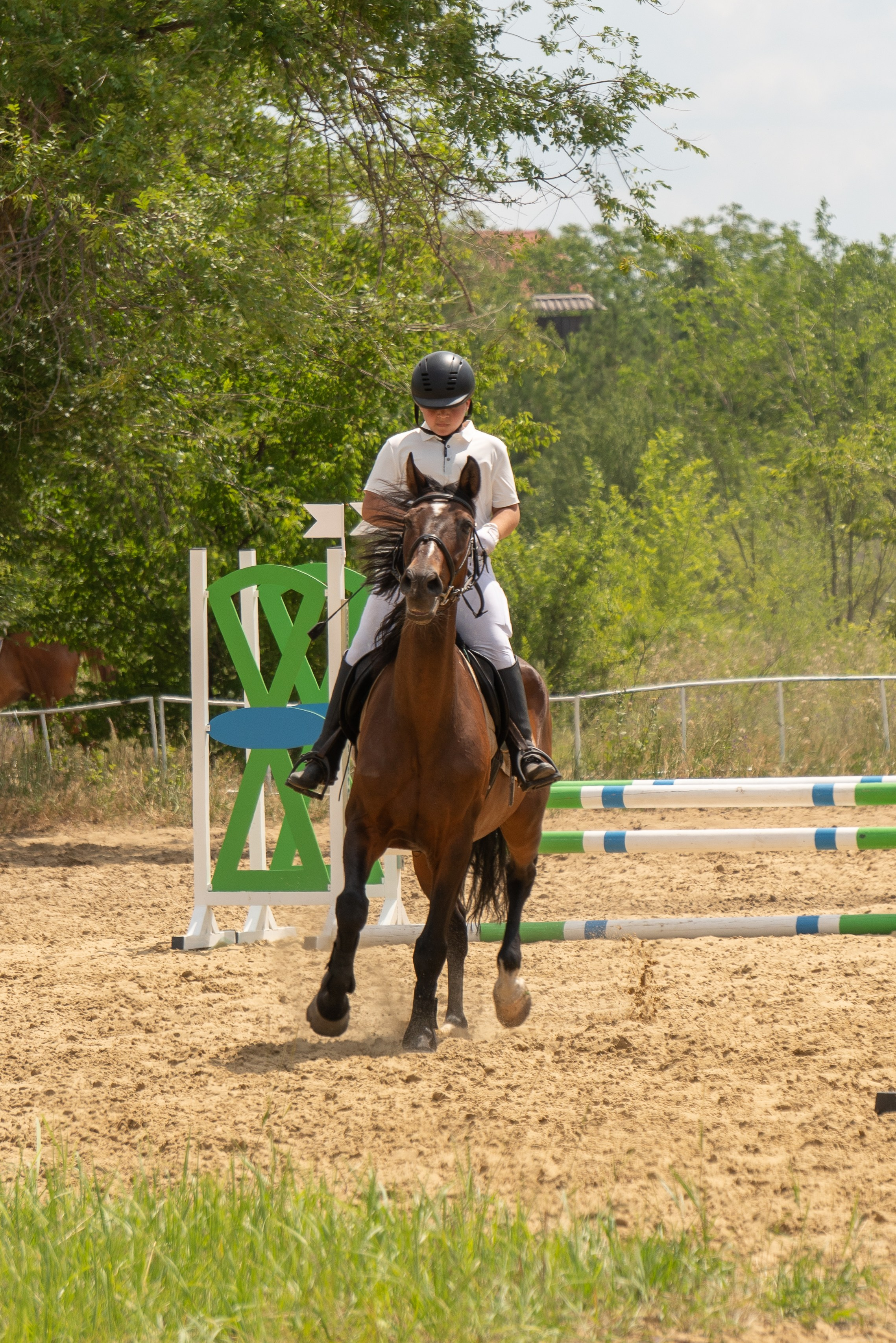 Соревнования по конкуру, Луганск. Фотограф в РФ и ЛНР Юлия Федосеева