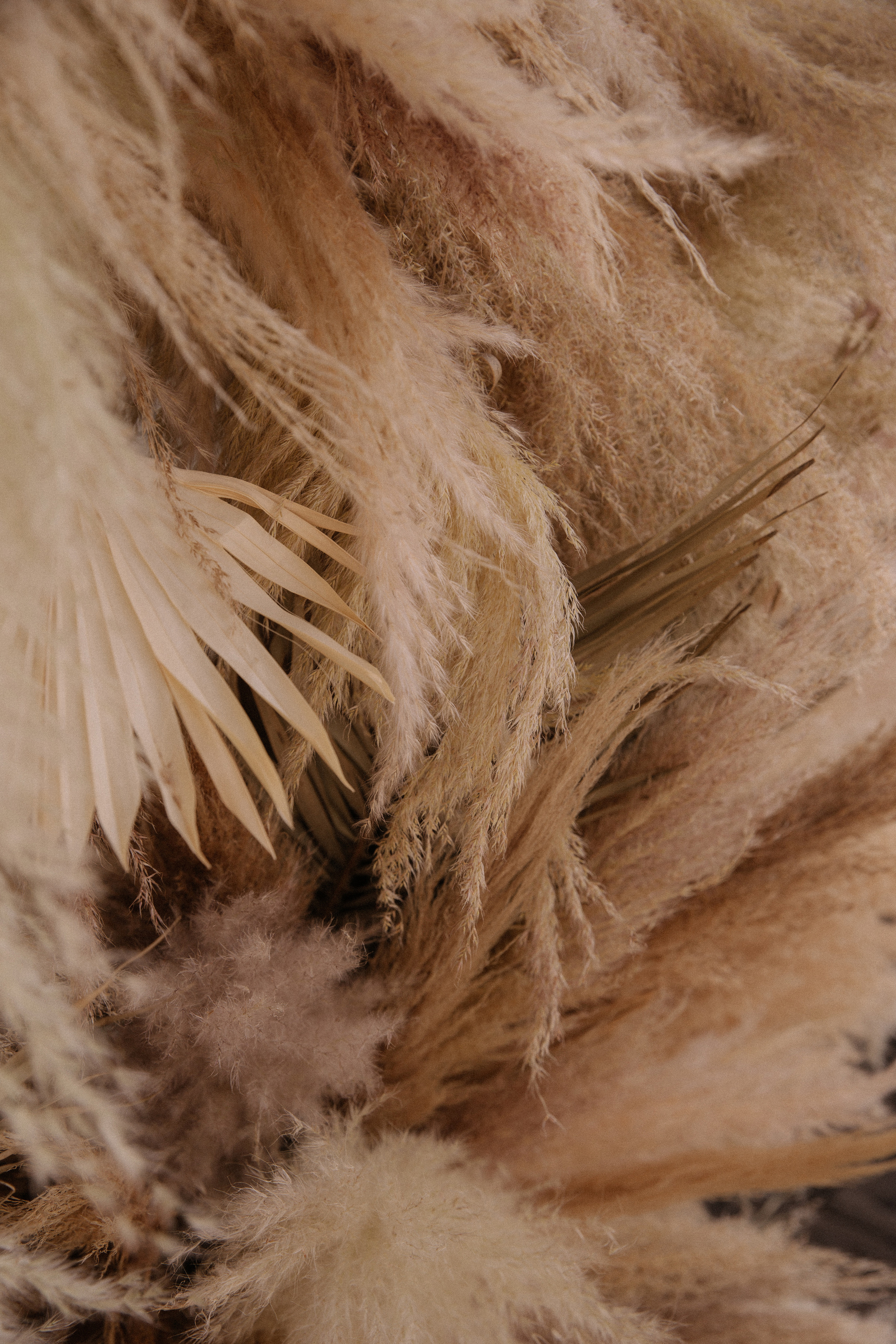 Анна & Денис. Фотограф в Краснодаре и Краснодарском крае